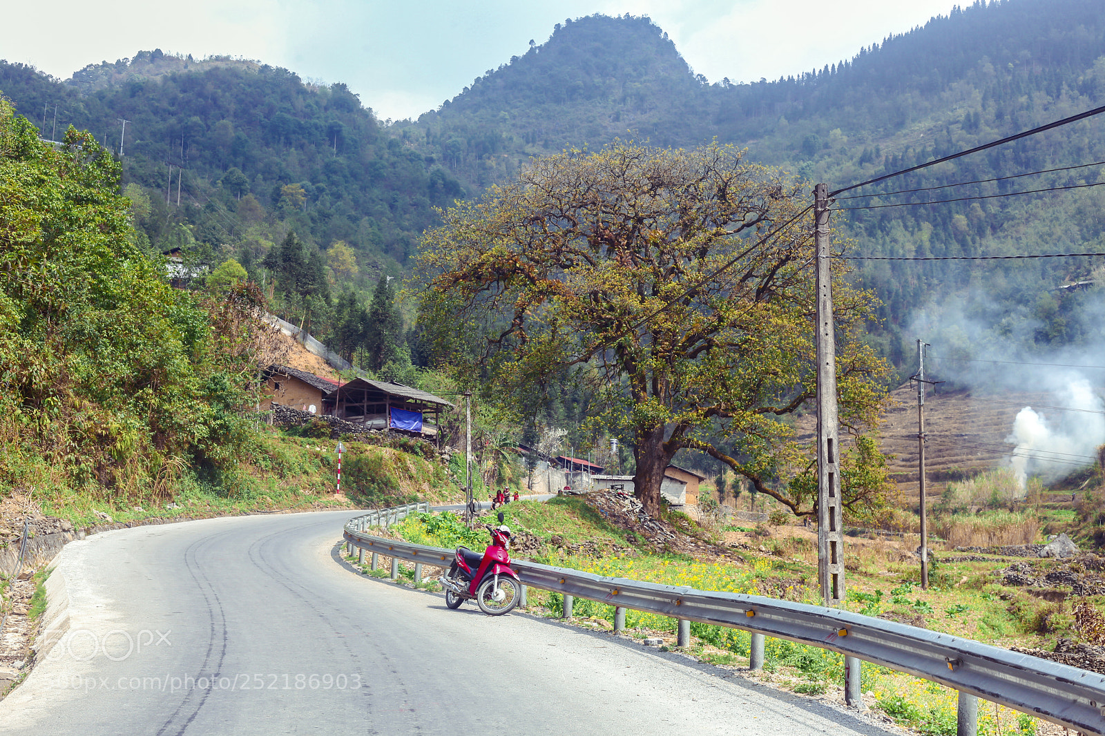 Canon EOS 5D Mark II sample photo. Road in vietnam photography