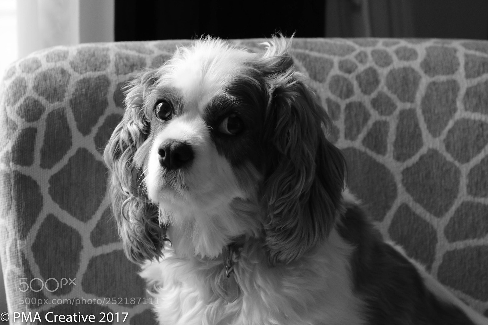 Canon EOS 750D (EOS Rebel T6i / EOS Kiss X8i) sample photo. Img photography