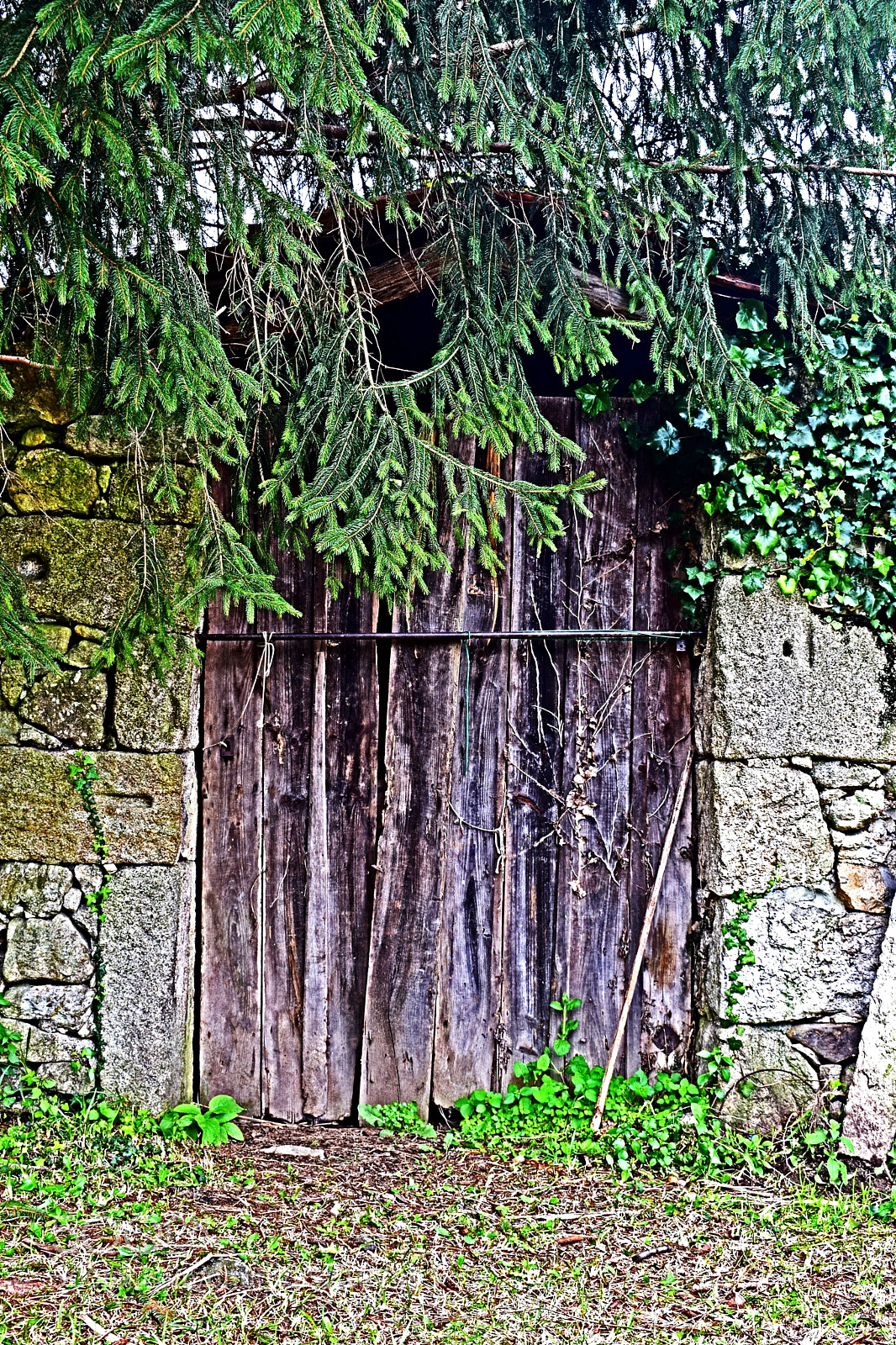 Nikon D3300 sample photo. Old gate in moa photography