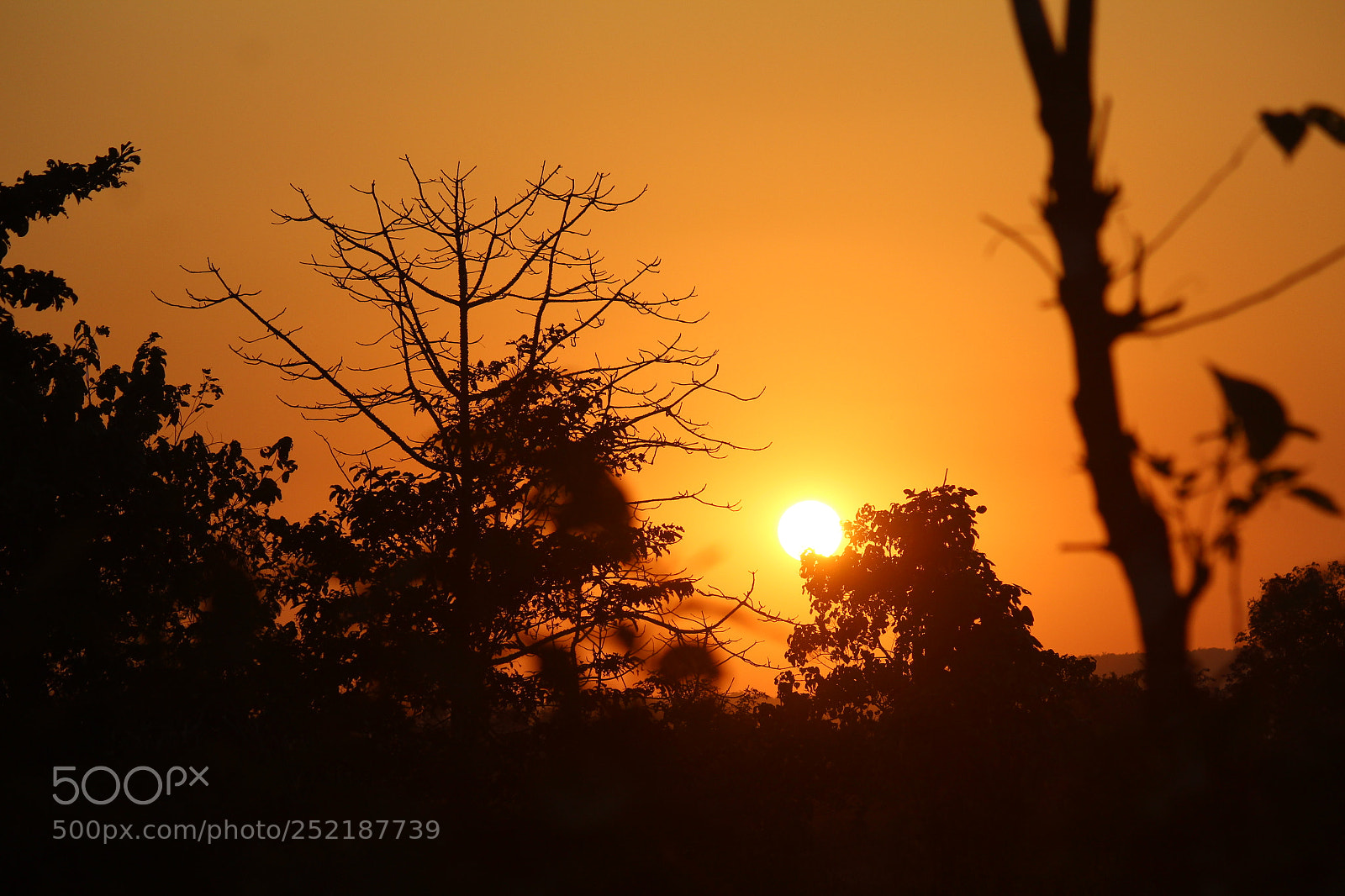 Canon EF-S 55-250mm F4-5.6 IS II sample photo. Sunset photography