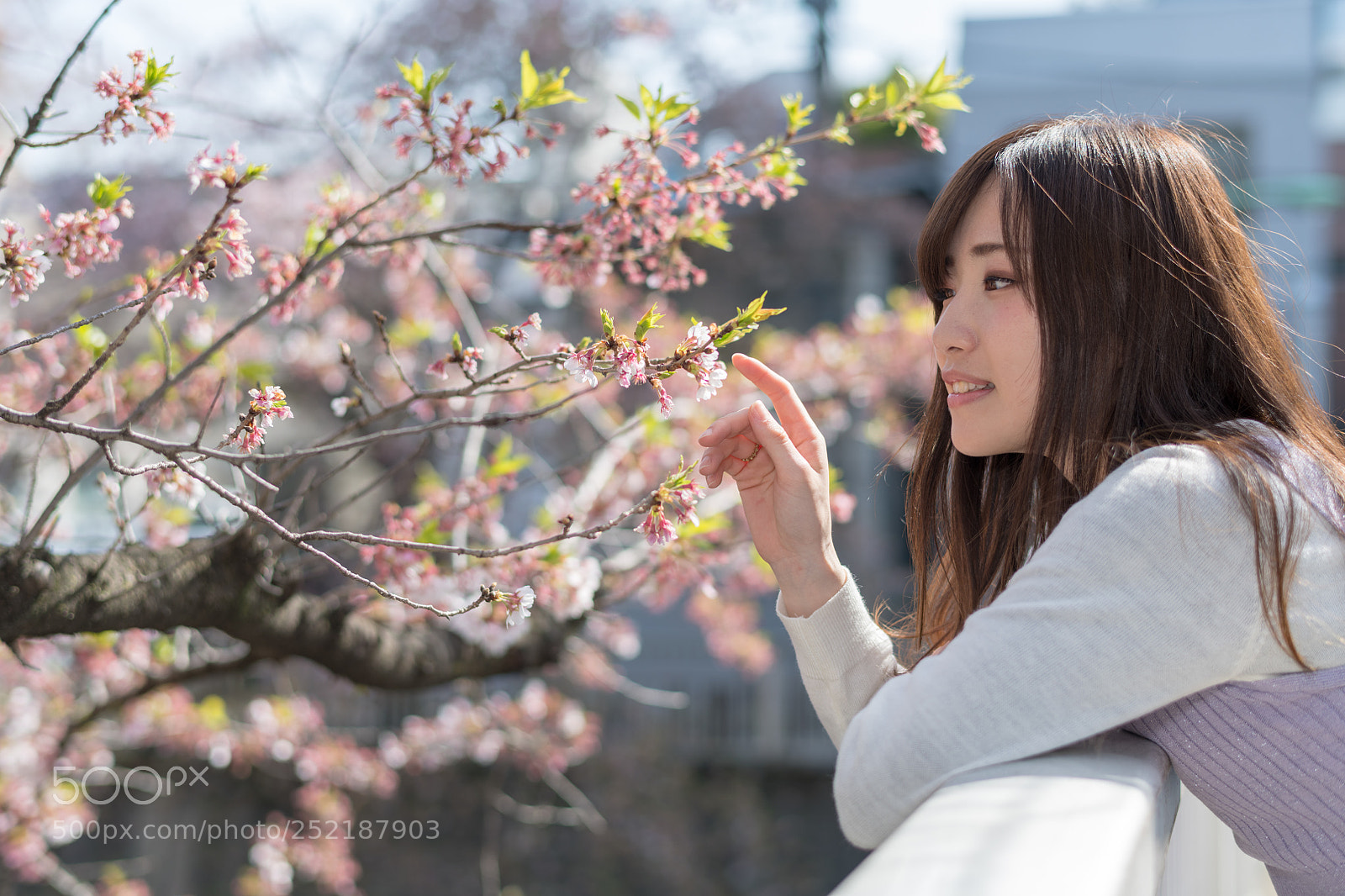 Nikon D850 sample photo. Spring has come photography