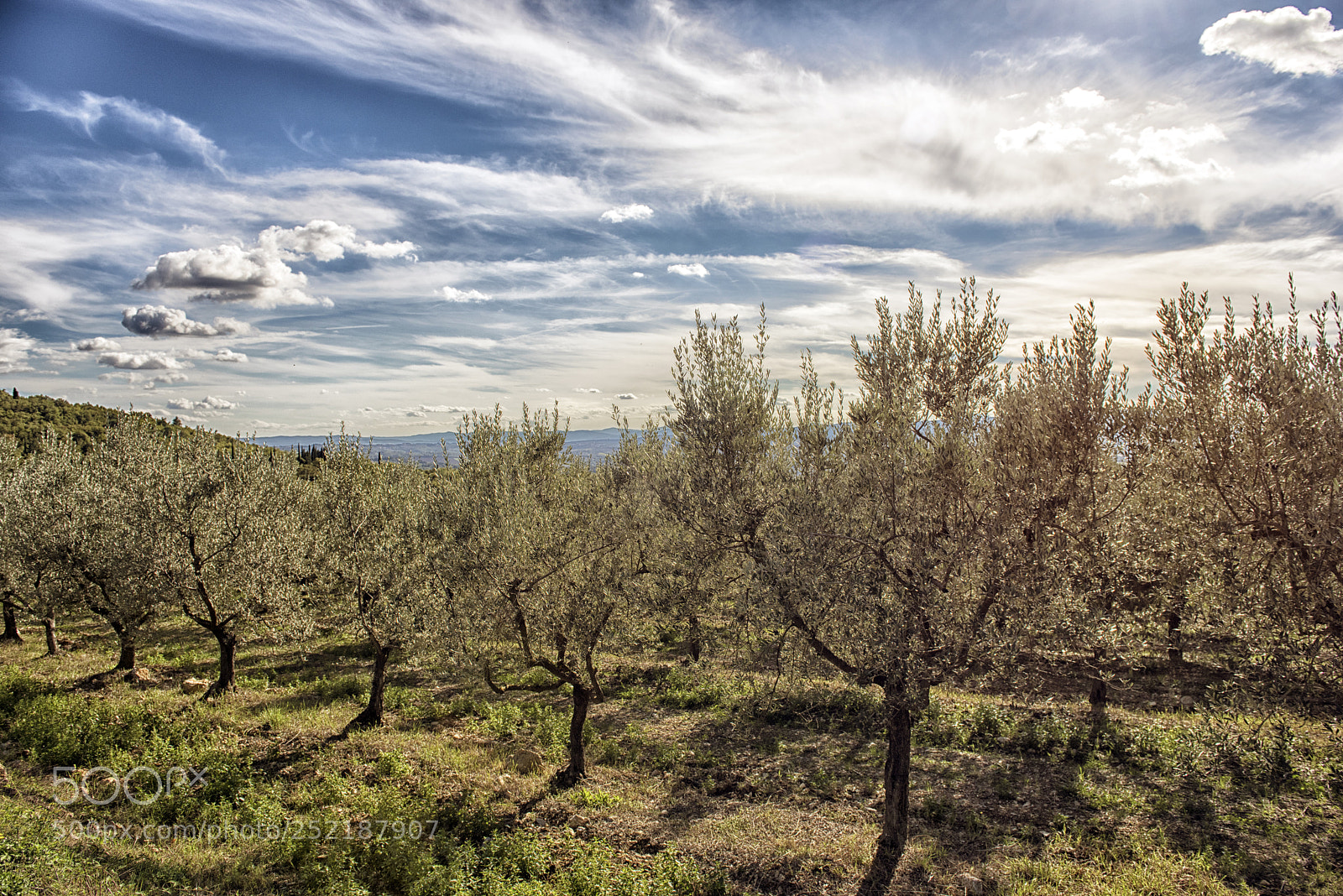 Nikon D810 sample photo. Morning light photography