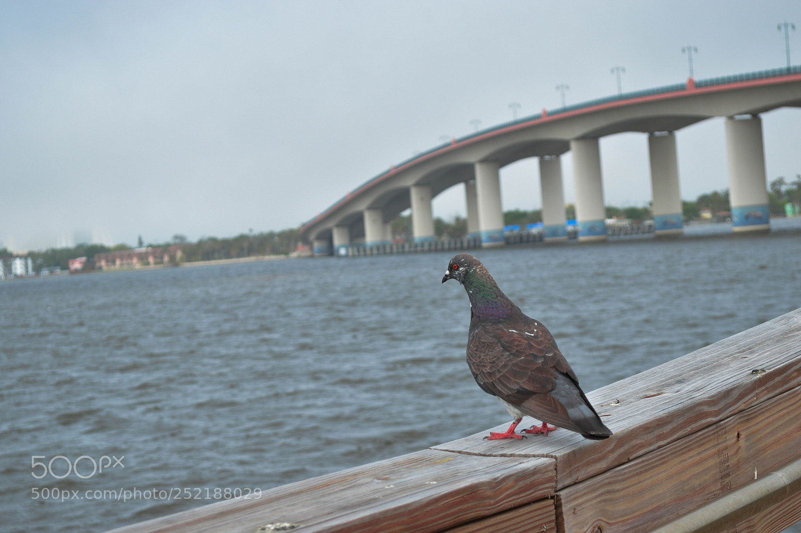 Nikon D3200 sample photo. Riverbank photography