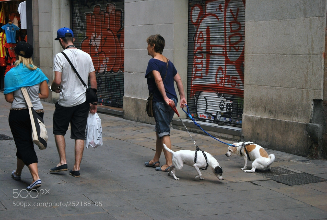 Nikon D60 sample photo. Feborig photography