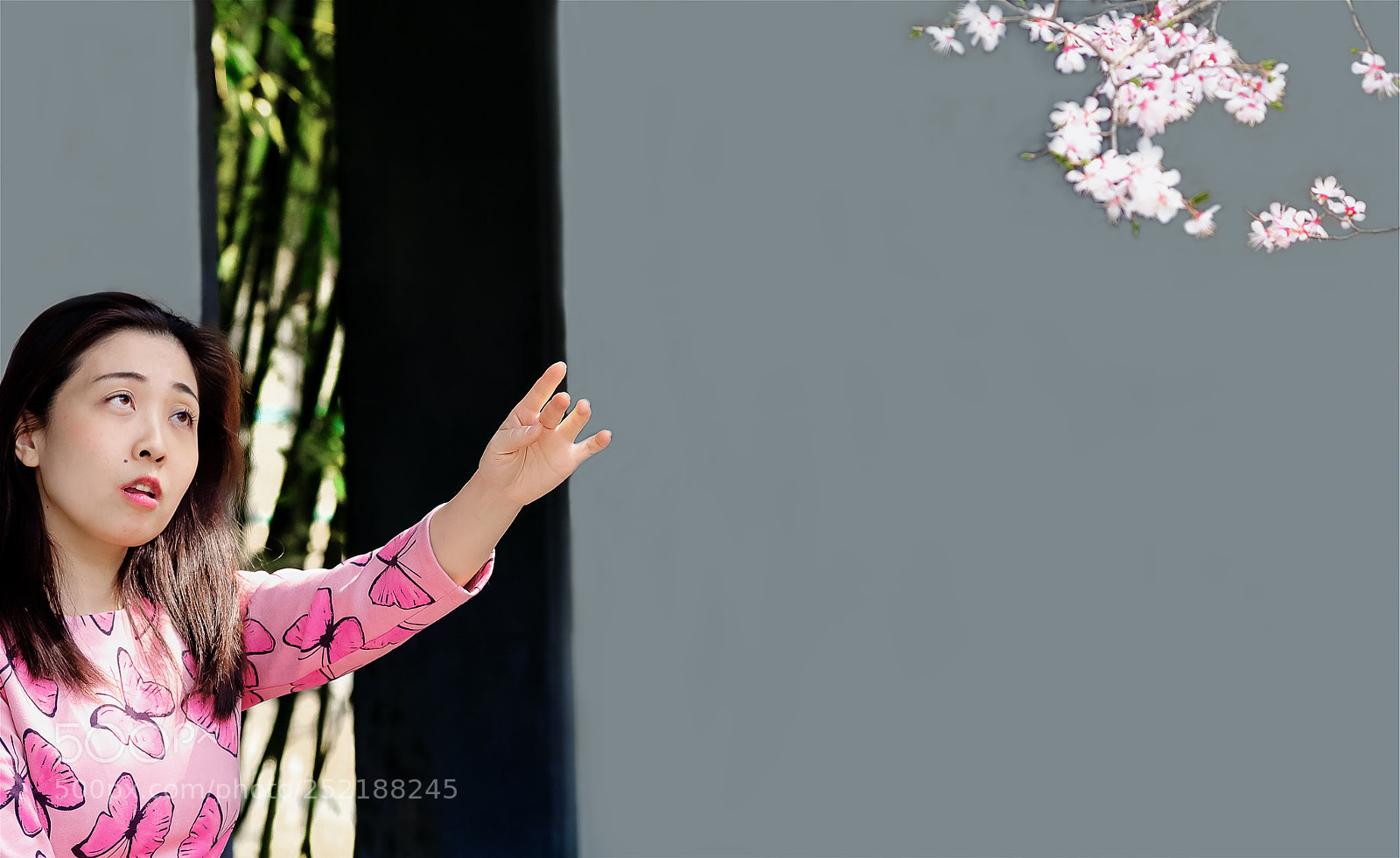 Canon EOS-1D X Mark II sample photo. Untitled photography