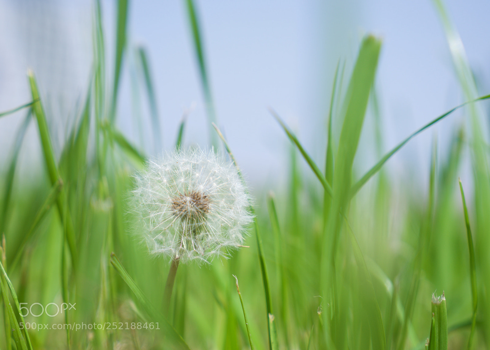 Sony a7 sample photo. Brezze photography