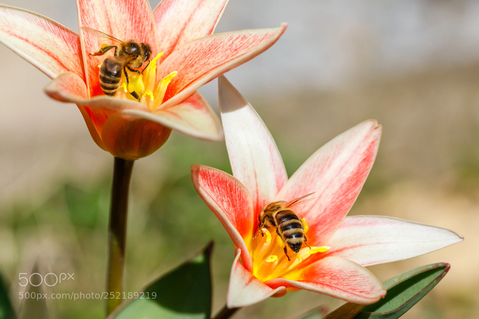 Canon EOS 5D Mark IV sample photo. D photography