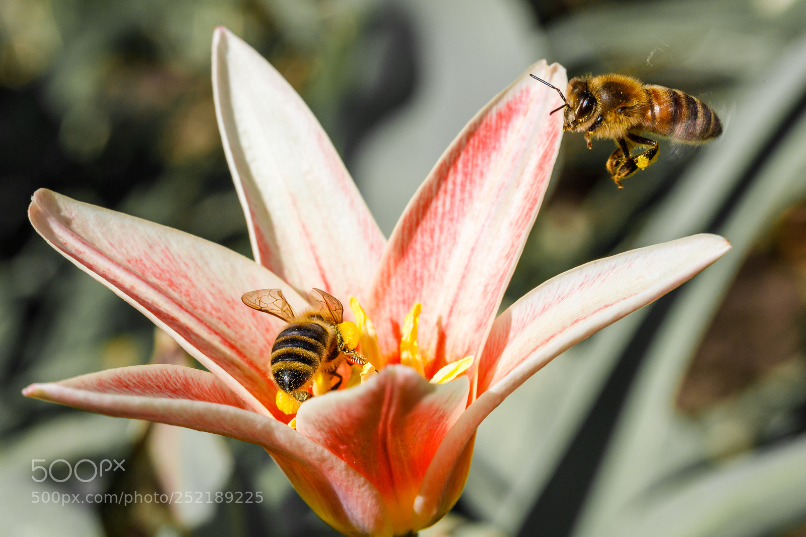 Canon EOS 5D Mark IV sample photo. D photography