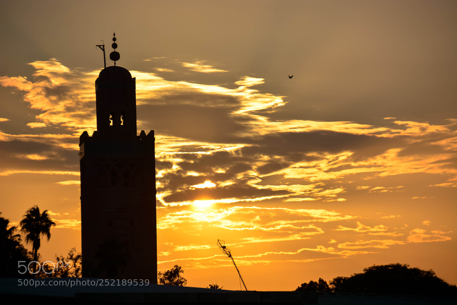 Nikon D7100 sample photo. Framed sunset photography