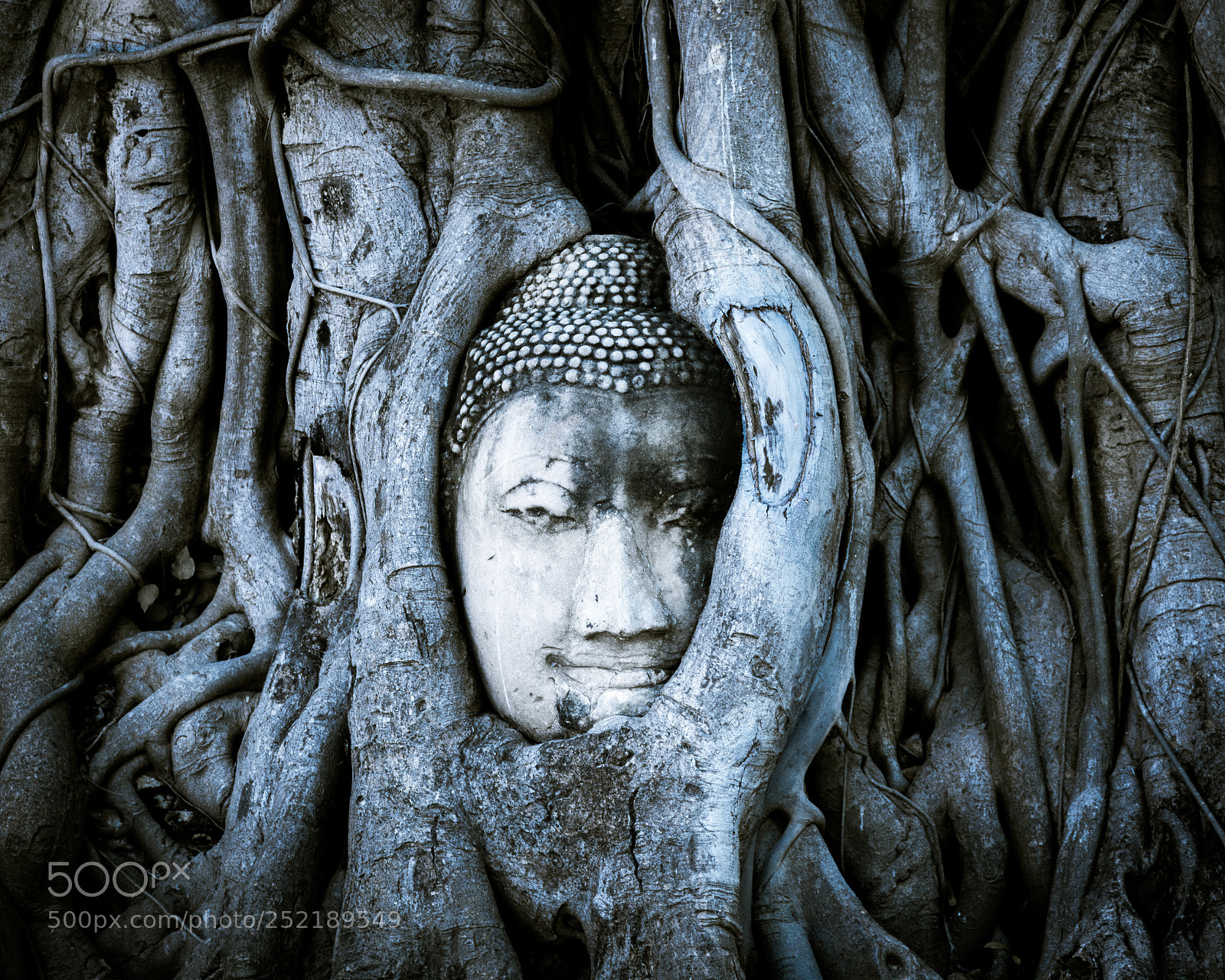 Nikon D7200 sample photo. Nature's work | ayuttaya photography