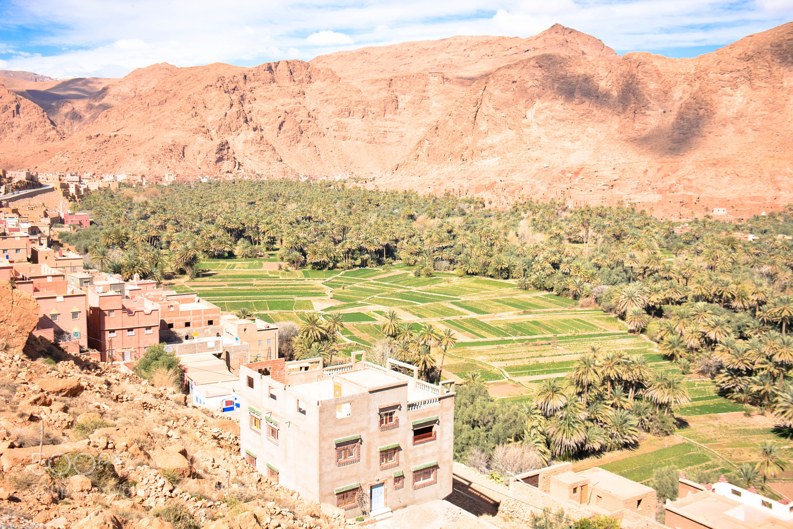 Nikon D7100 sample photo. Lush desert photography