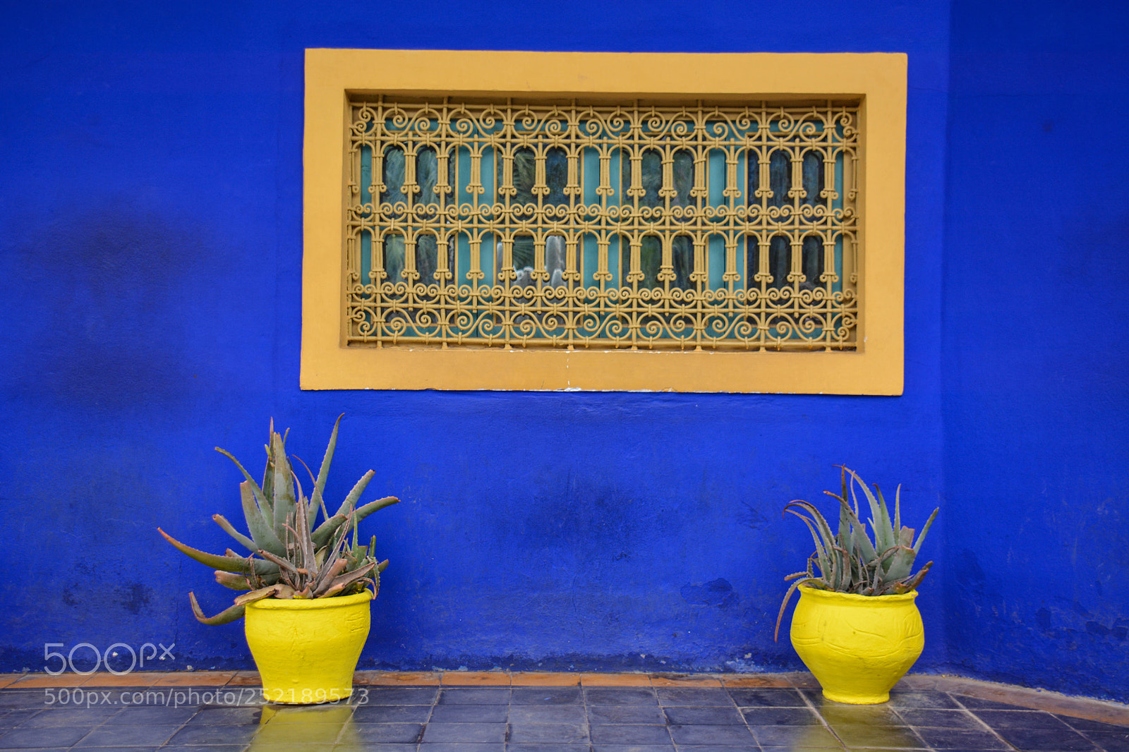 Nikon D7100 sample photo. Yellow frame blue wall photography