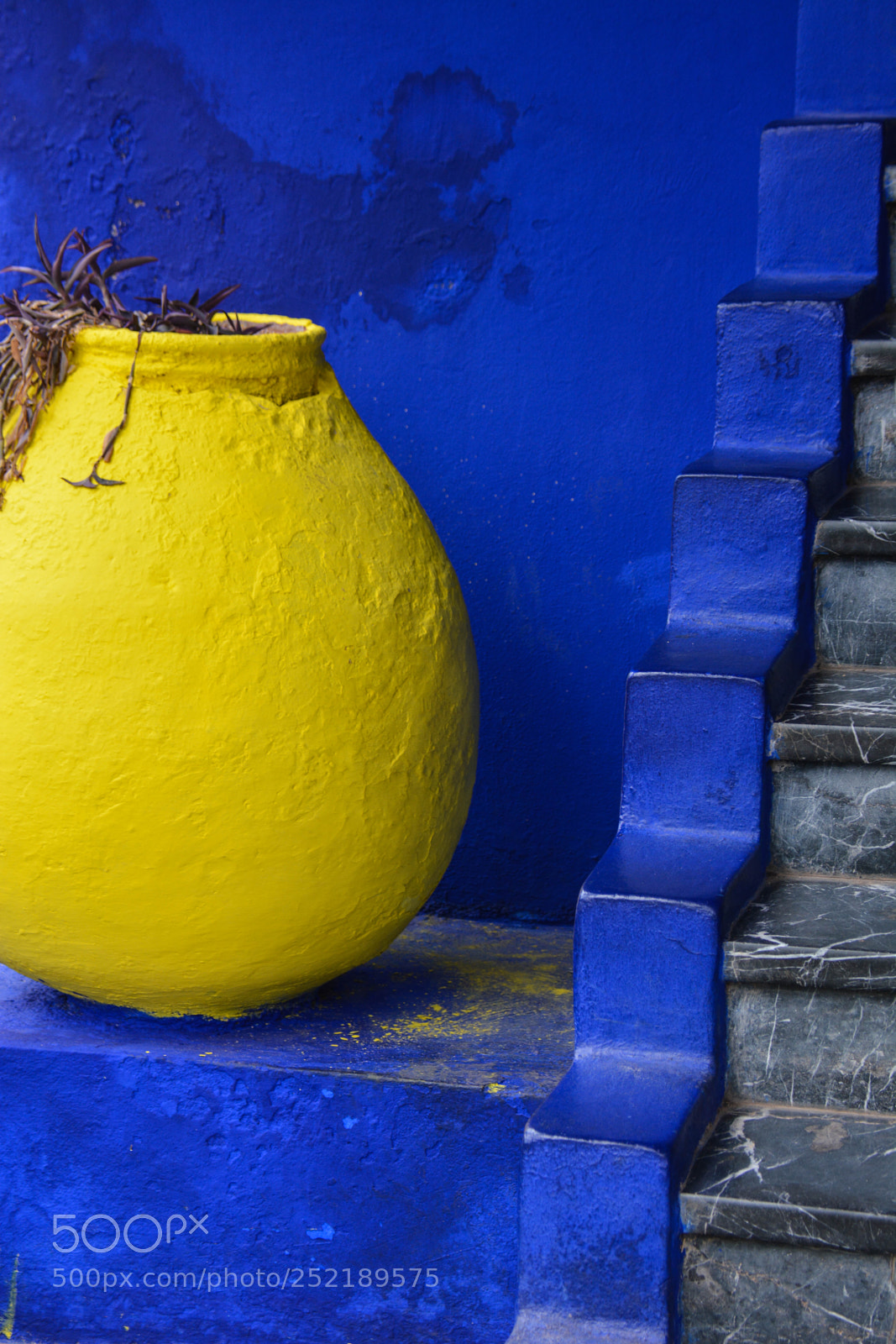 Nikon D7100 sample photo. Lemons and stairs photography