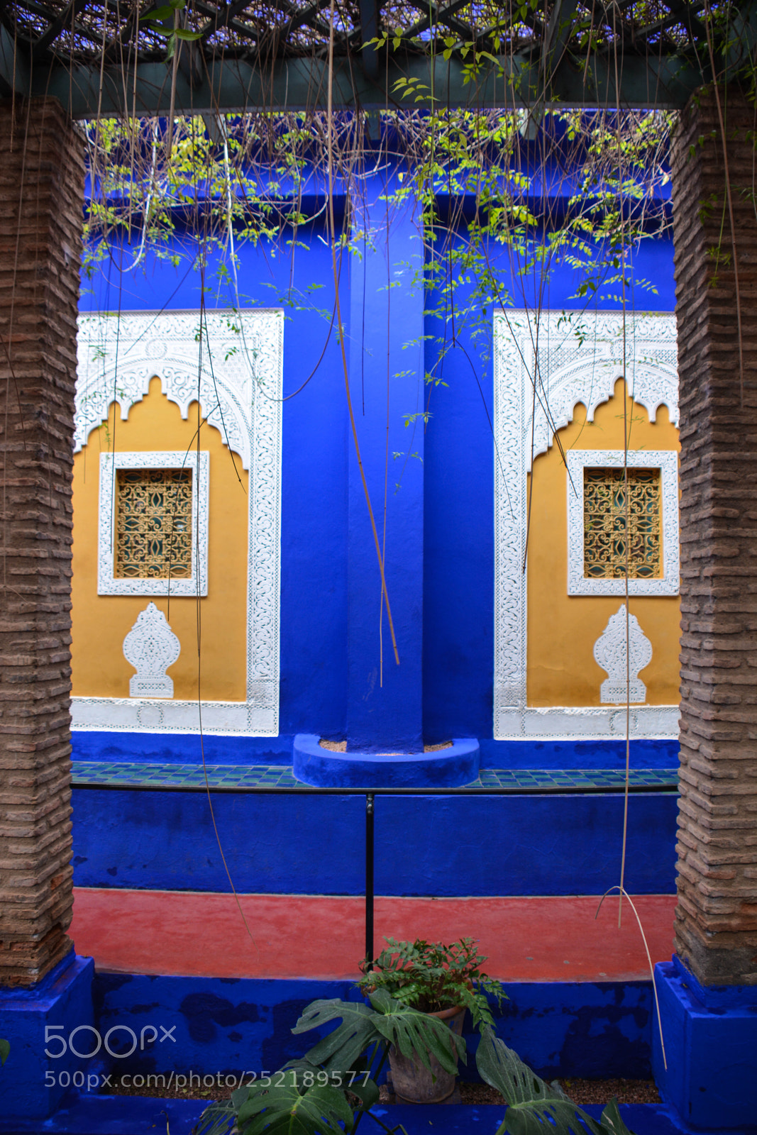 Nikon D7100 sample photo. Protecting color photography
