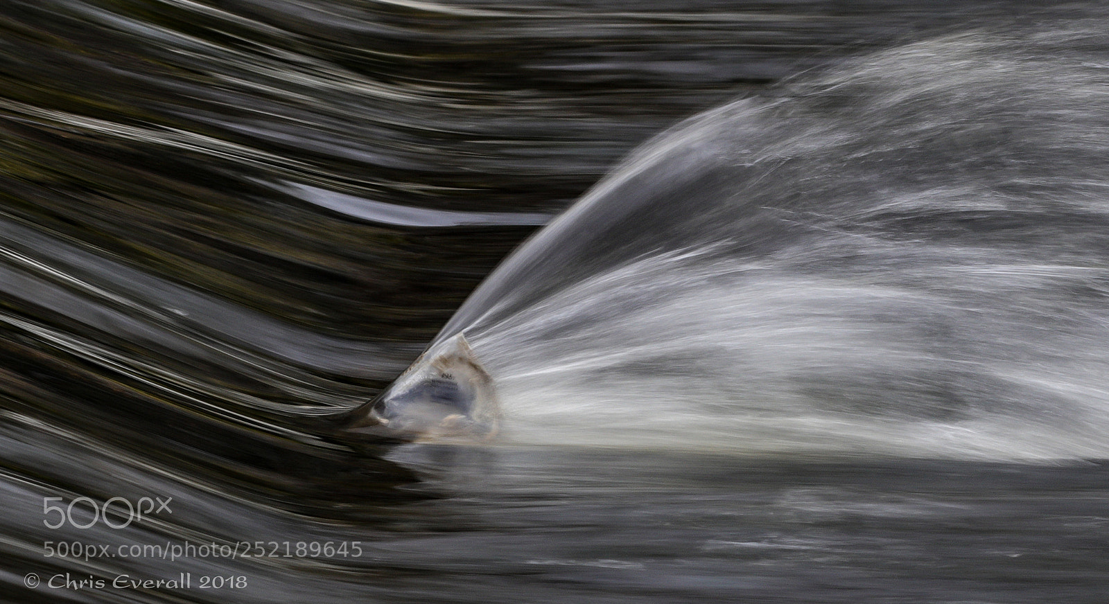 Canon EOS 77D (EOS 9000D / EOS 770D) sample photo. Close-up of an obstruction photography