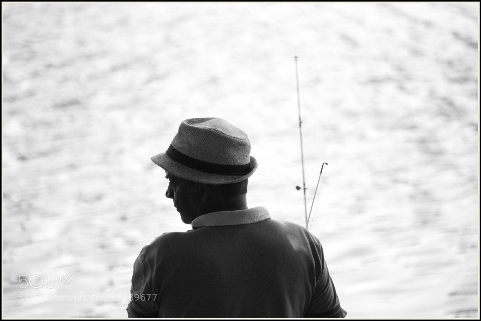 Nikon D5300 sample photo. ... photography