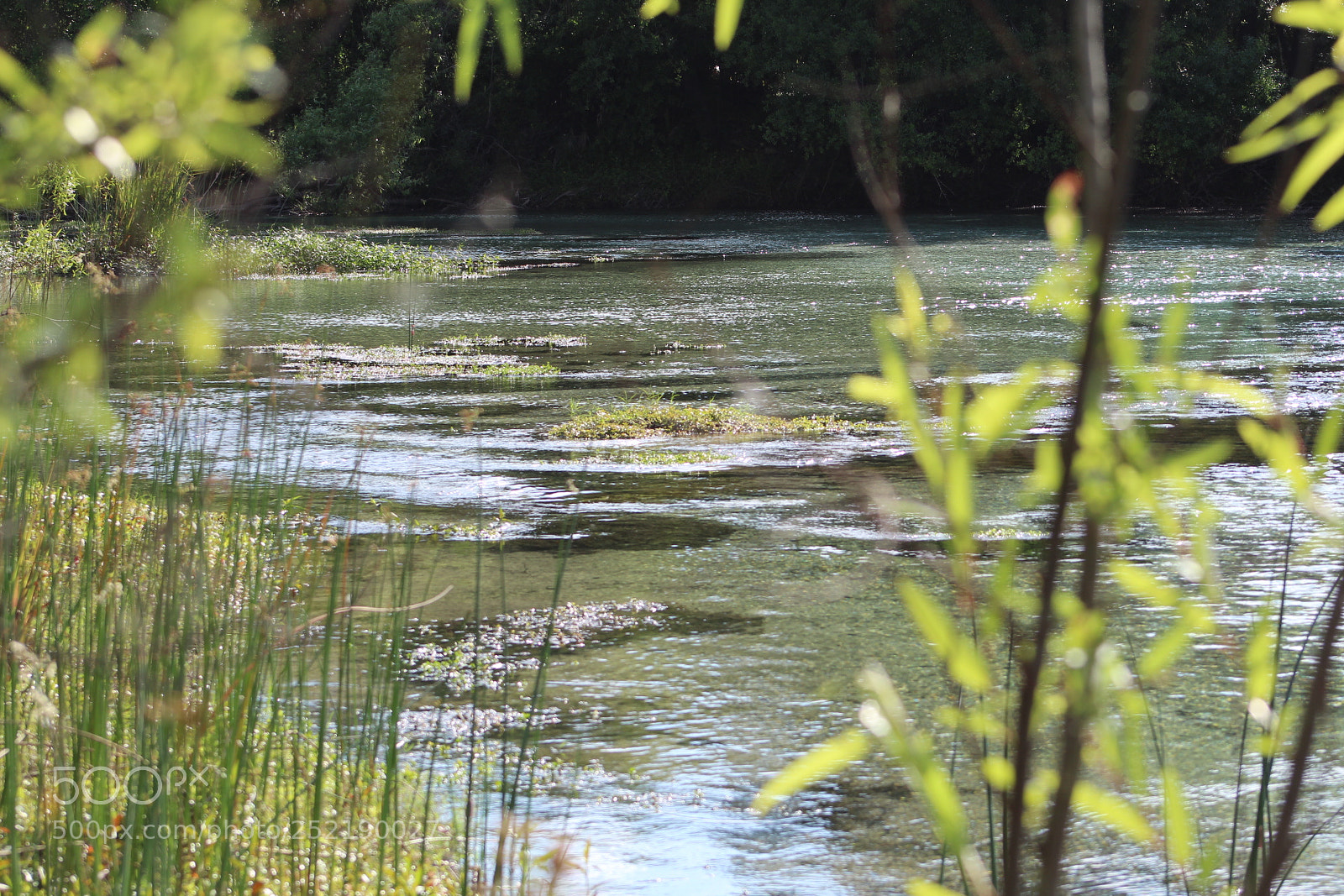 Canon EF 75-300mm f/4-5.6 sample photo. Untitled photography