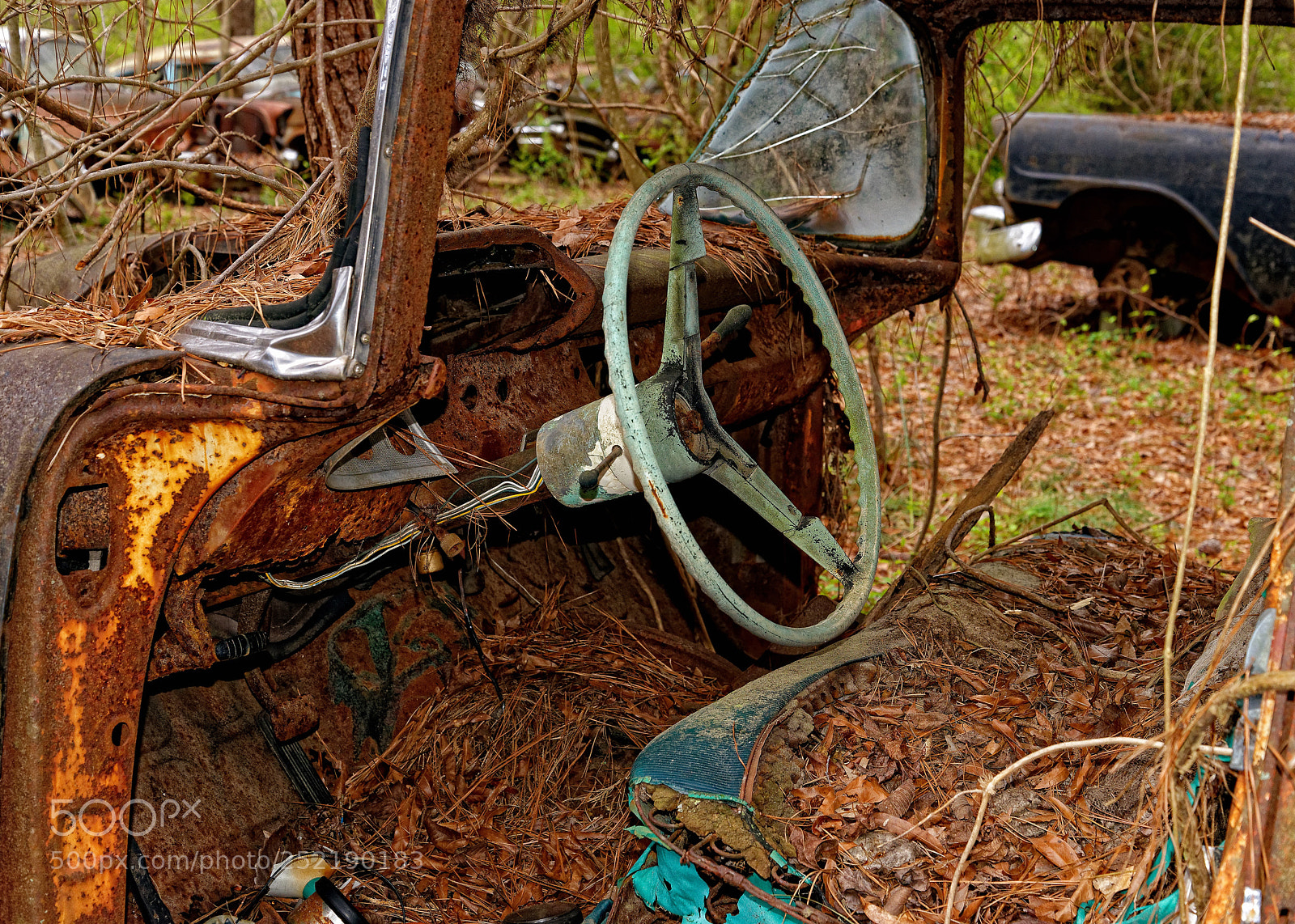 Nikon D800E sample photo. Auto interior photography