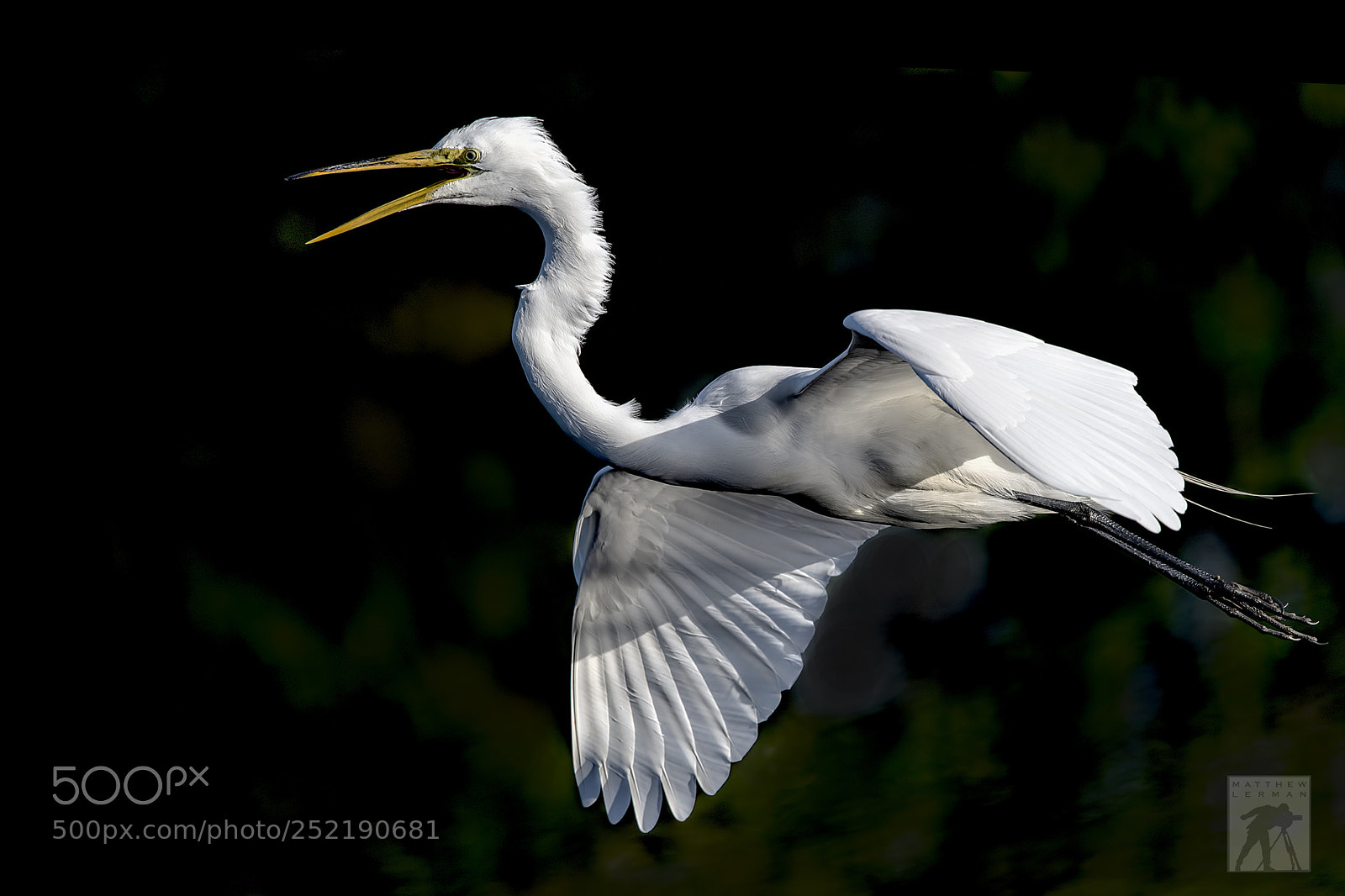 Nikon D810 sample photo. Morning light 1752 photography