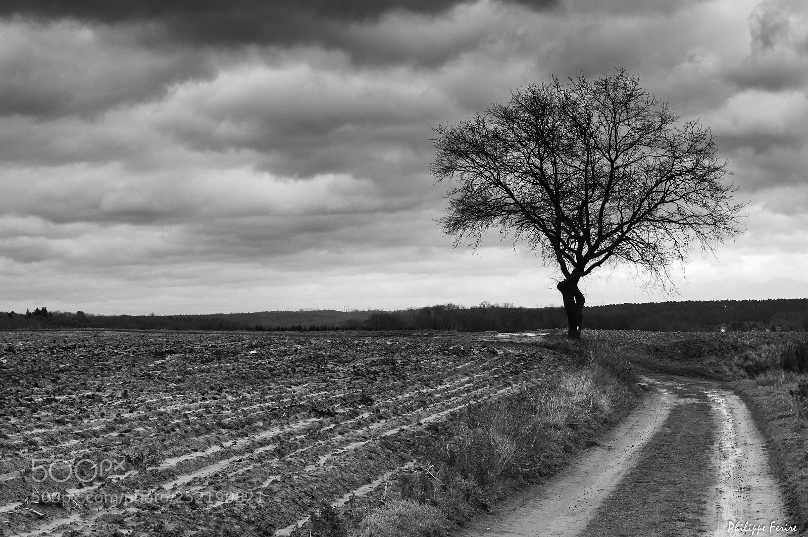 Nikon D3200 sample photo. Le solitaire photography