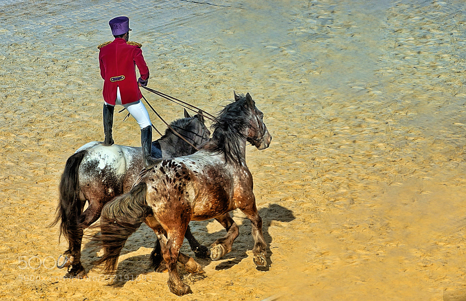 Canon EOS 5D Mark II sample photo. À chevaux sur le sable photography