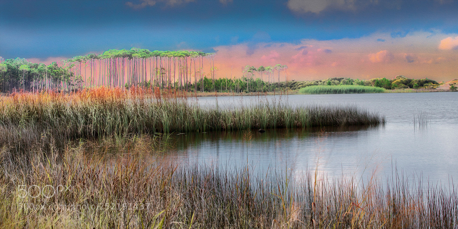 Canon EOS 5D Mark II sample photo. Wetlands photography
