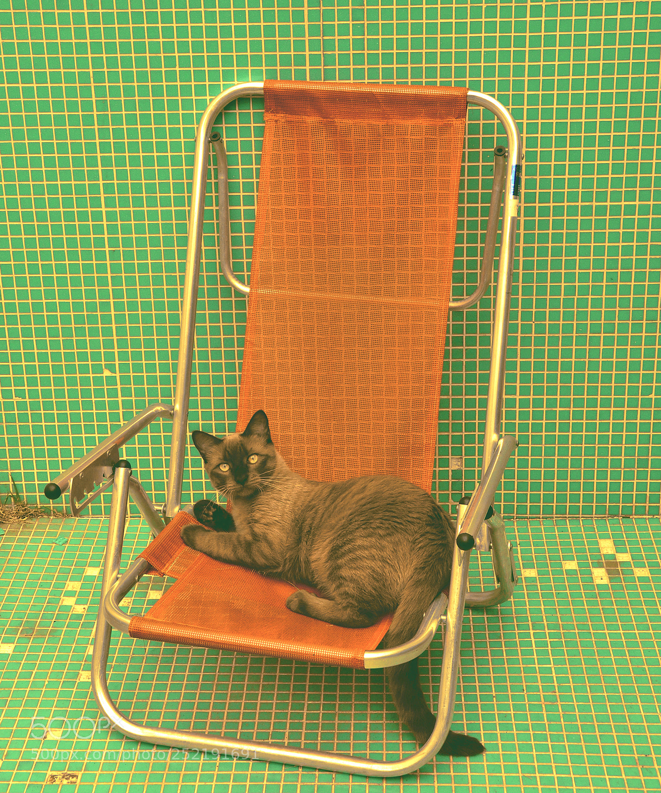 Nikon D90 sample photo. Relax photography