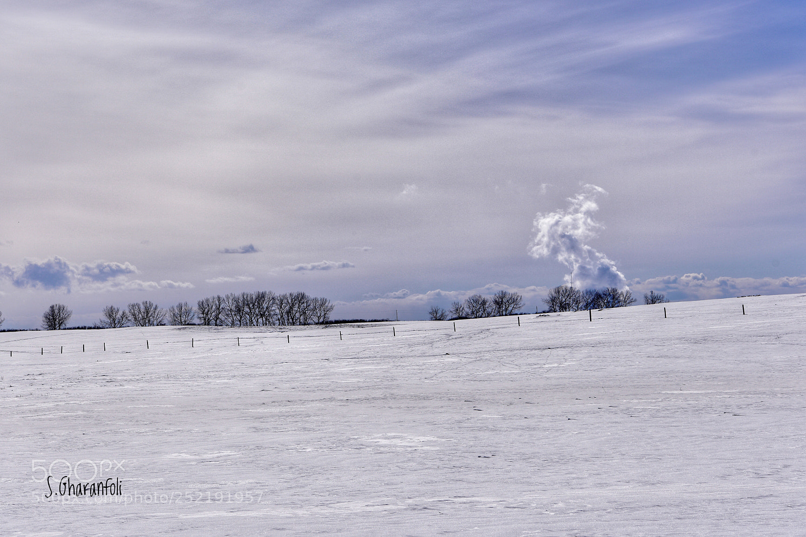 Nikon D810 sample photo. Winter photography