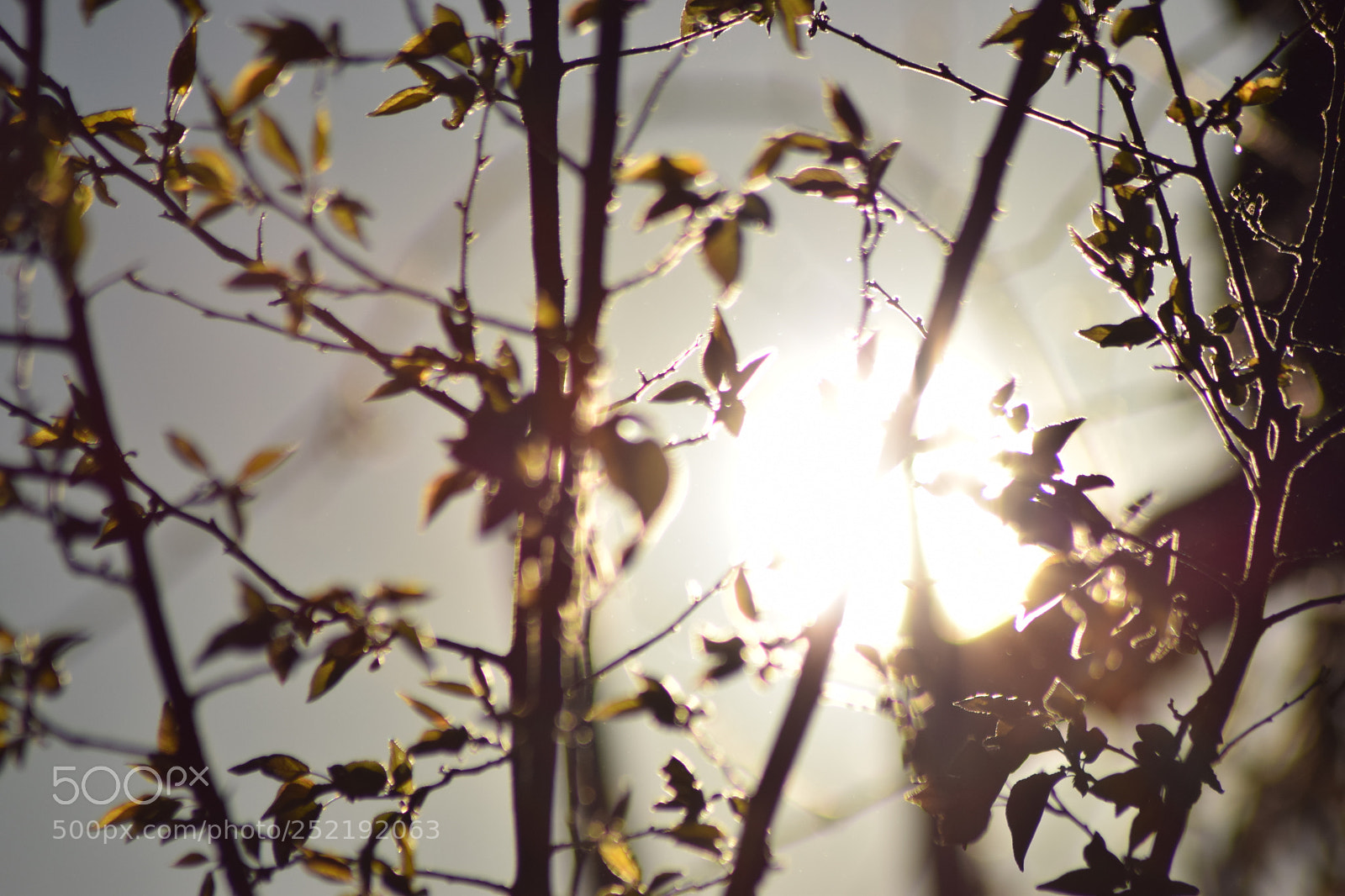 Nikon D3300 sample photo. Untitled photography