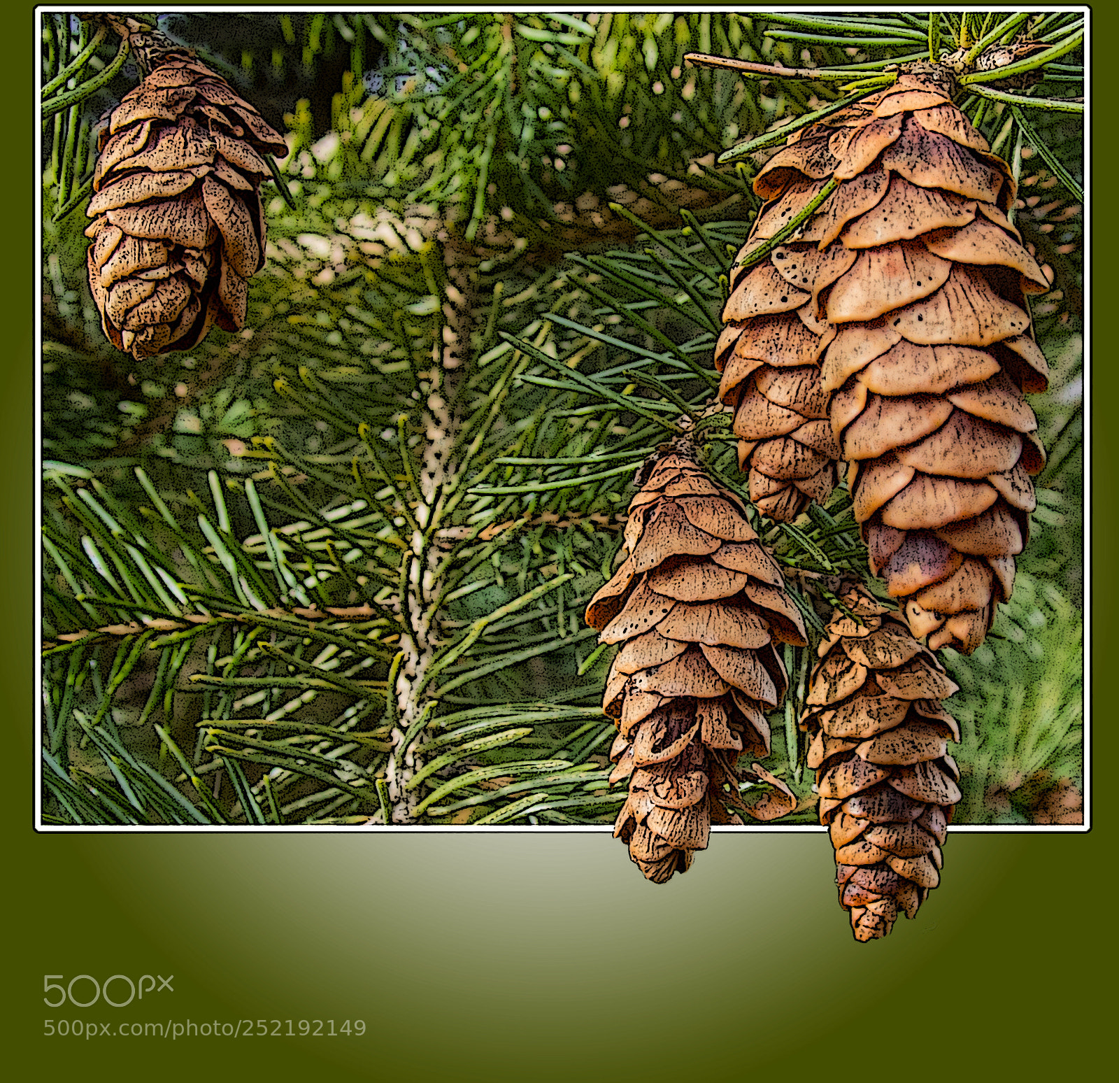 Olympus TG-5 sample photo. Pinecones photography