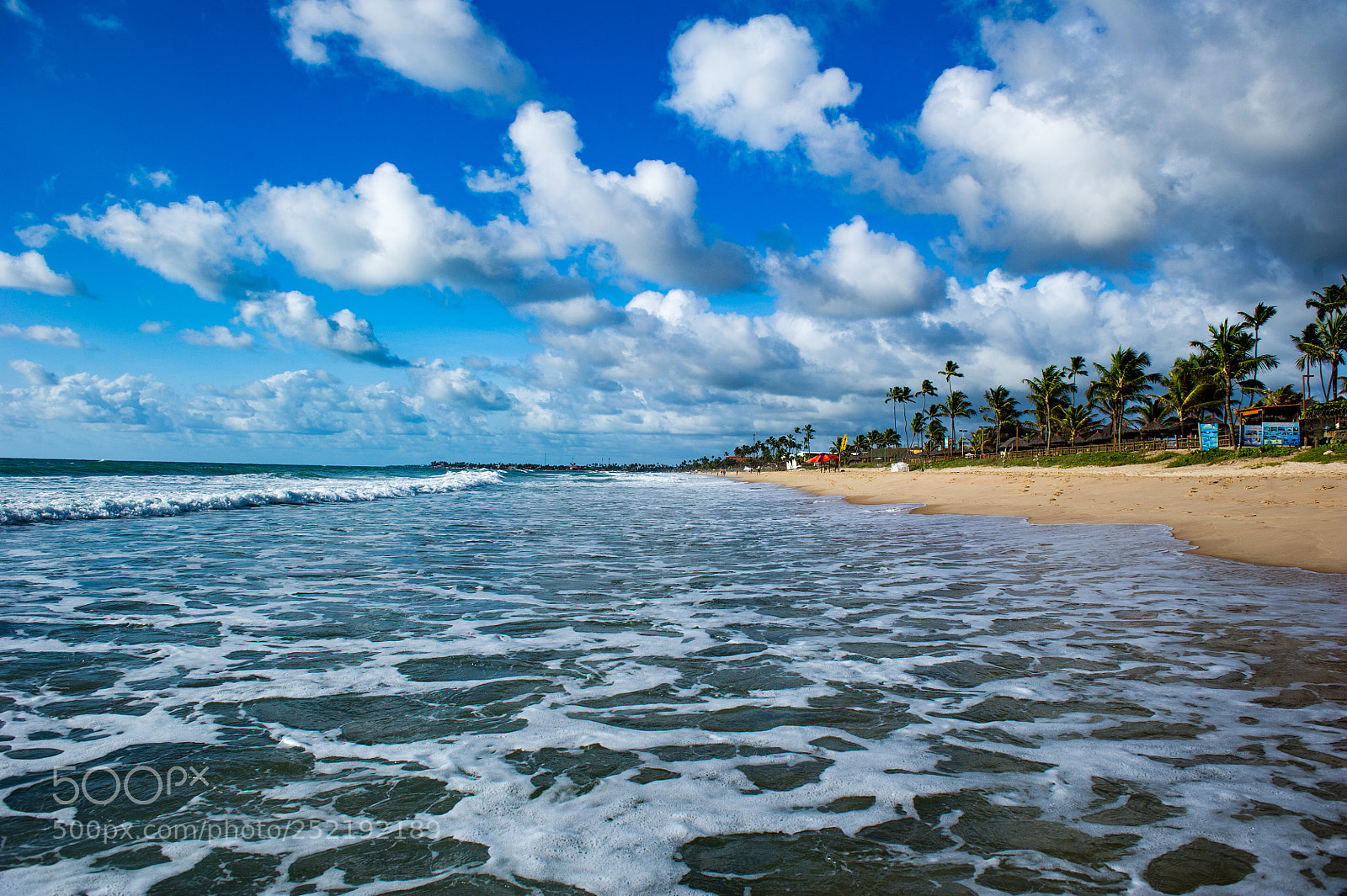 Nikon D3S sample photo. Porto de galinhas  photography