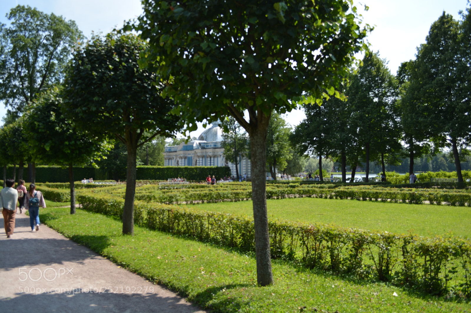 Nikon D5200 sample photo. Dsc photography
