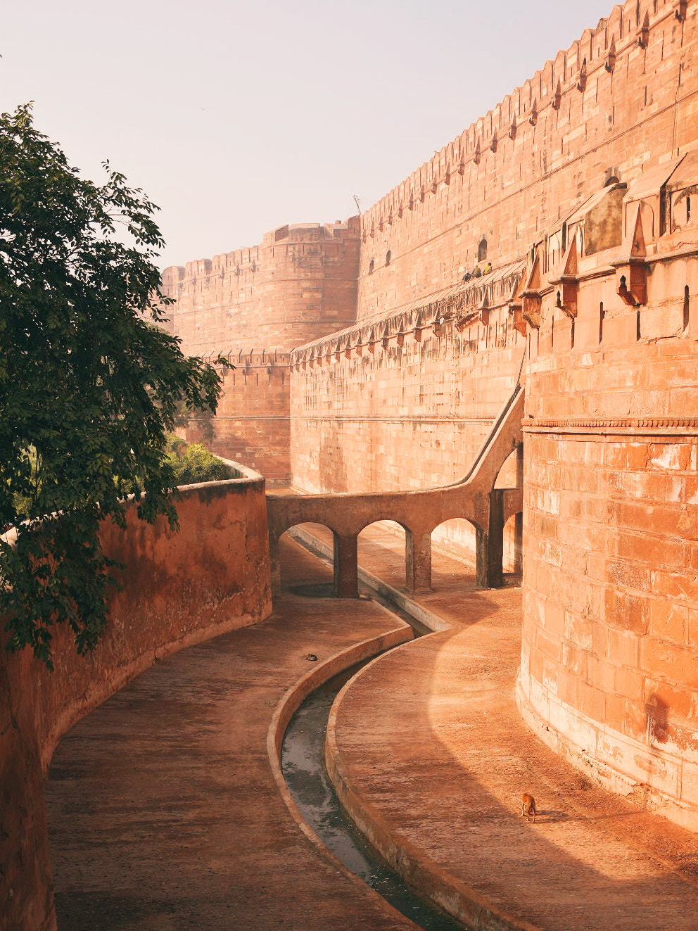 Nikon D7200 sample photo. Agra fort photography