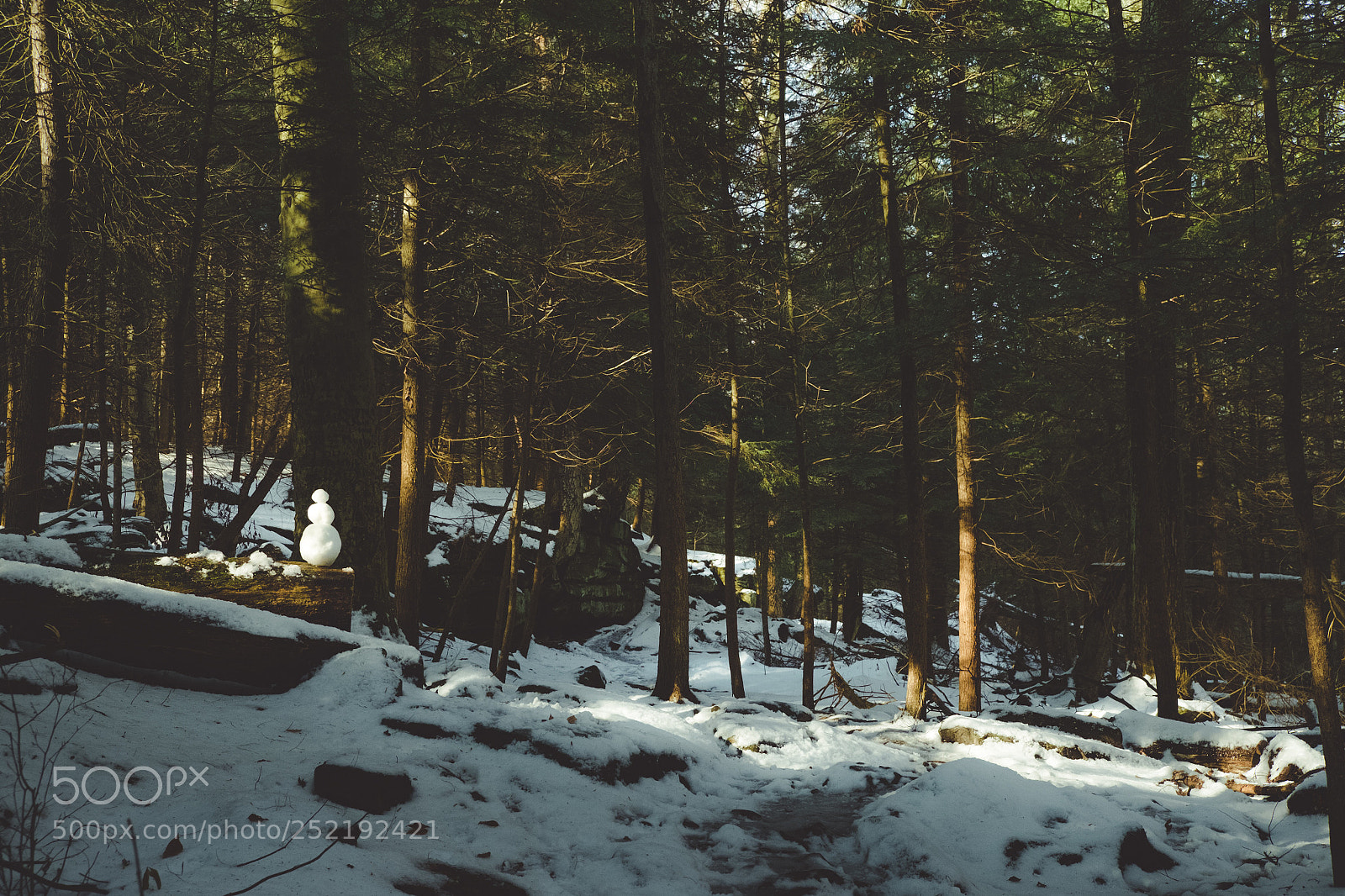 Fujifilm X-T1 sample photo. Snowman  photography