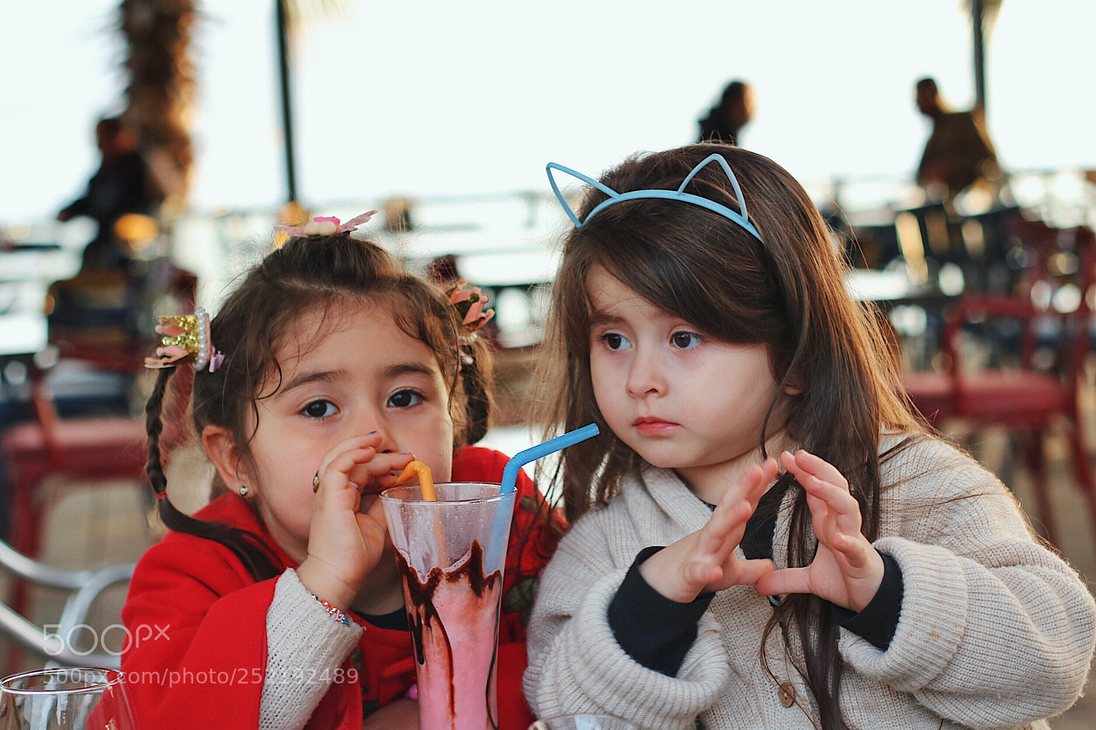 Canon EOS 750D (EOS Rebel T6i / EOS Kiss X8i) sample photo. Untitled photography