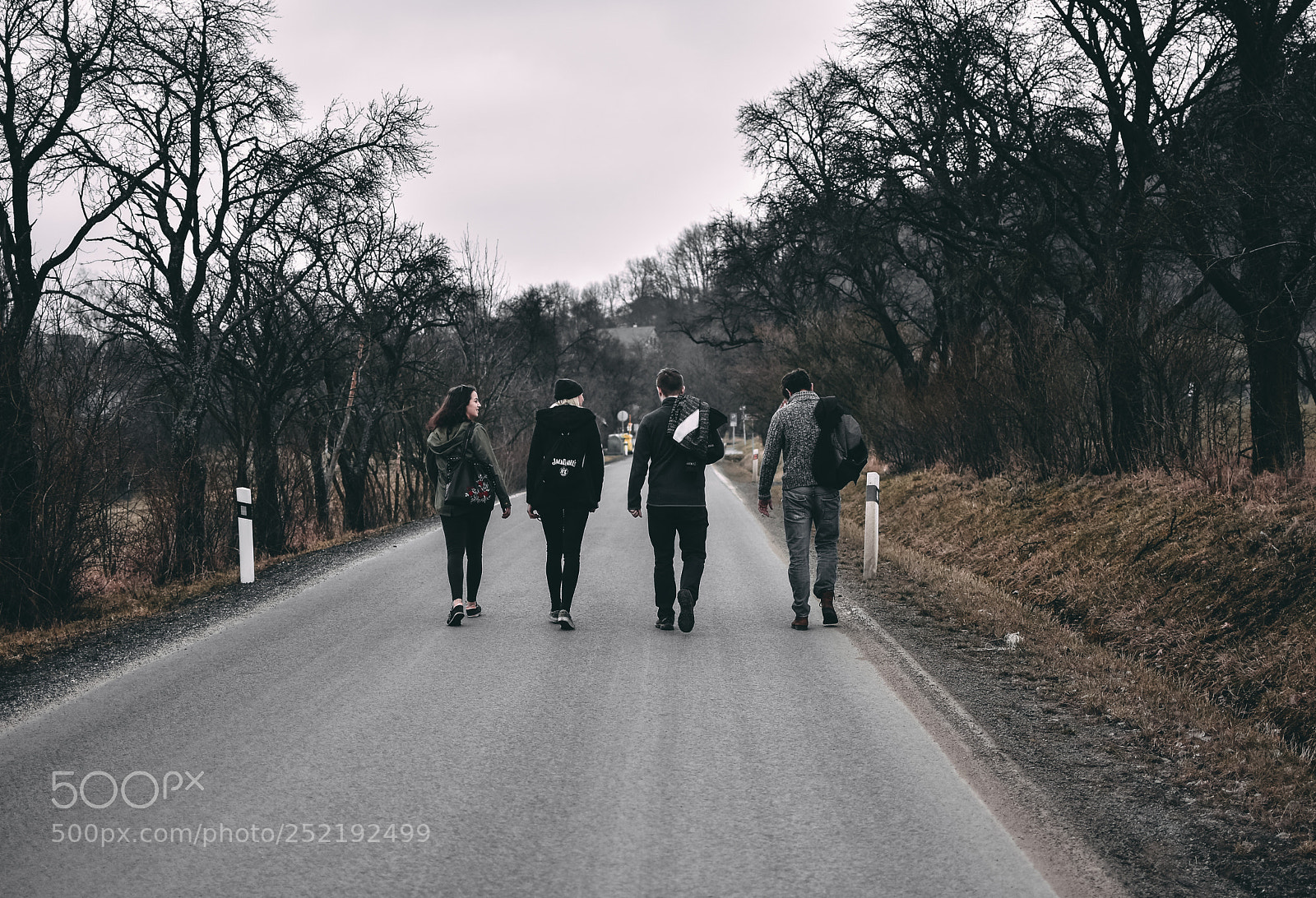 Nikon D7200 sample photo. Walk photography