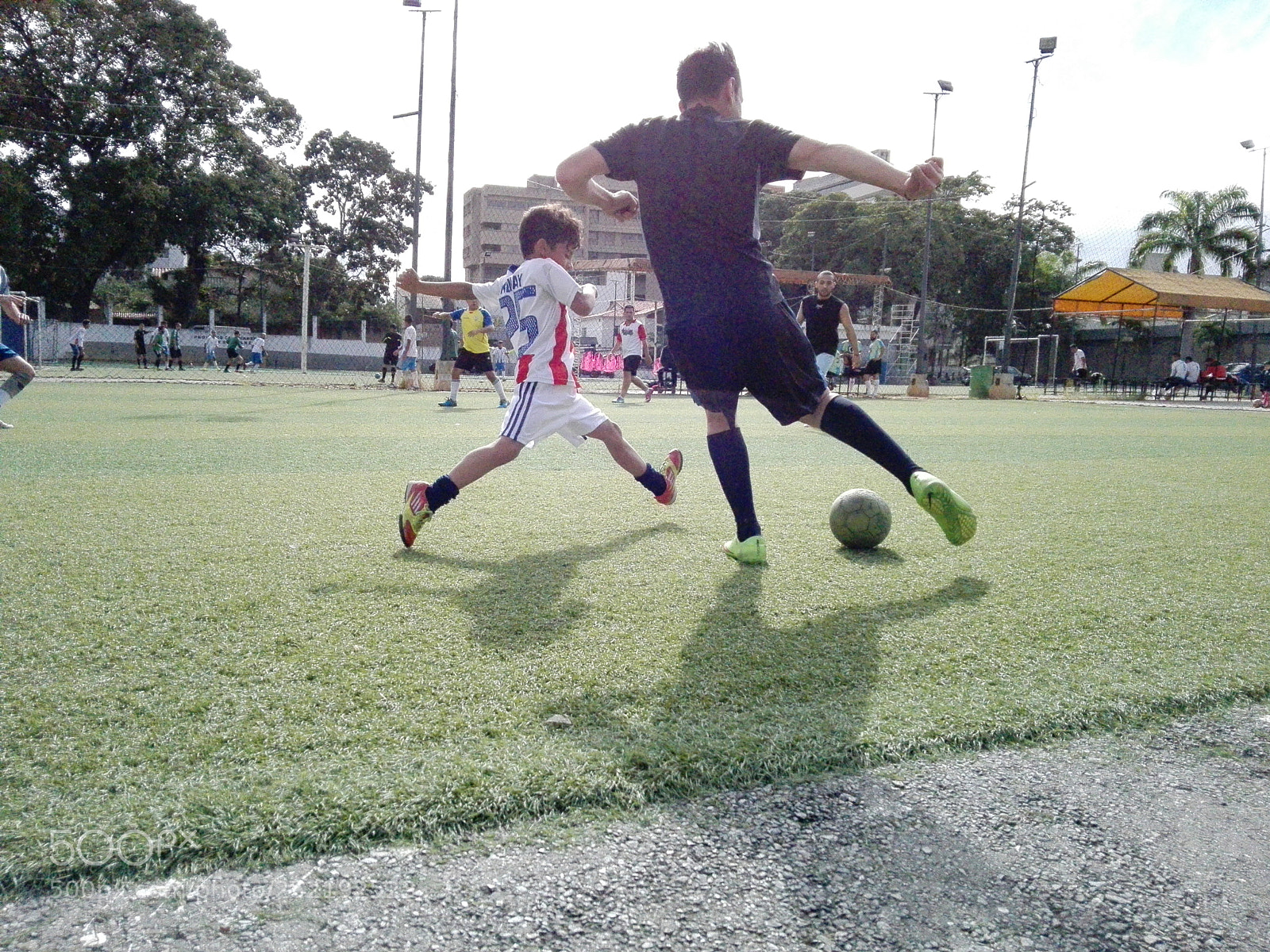 HUAWEI P8 Lite sample photo. Untitled photography