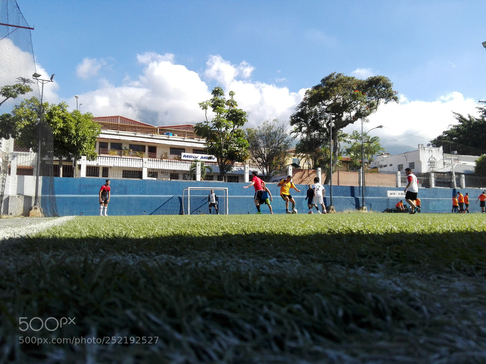 HUAWEI P8 Lite sample photo. Untitled photography