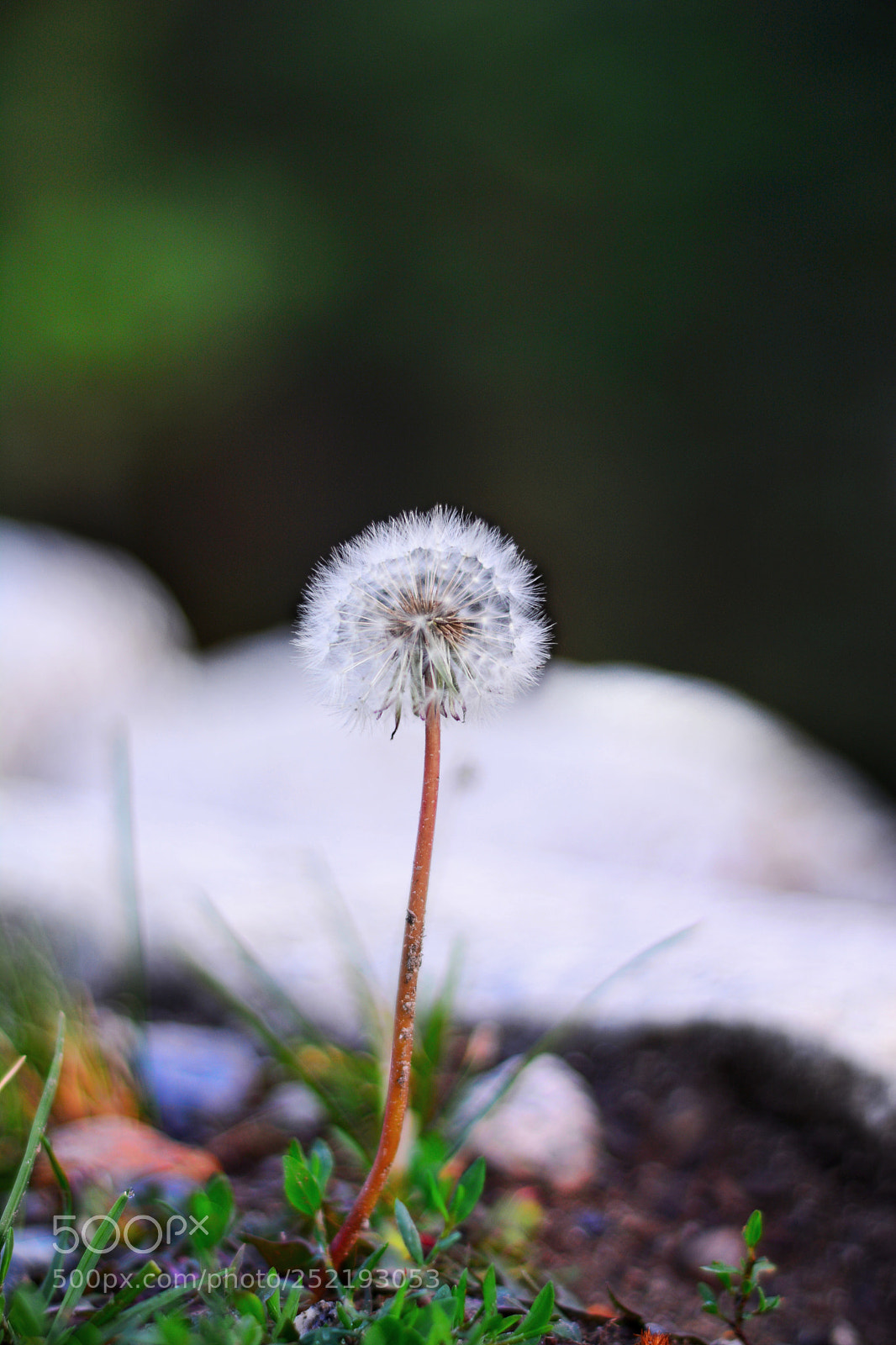 Nikon D7100 sample photo. Untitled photography