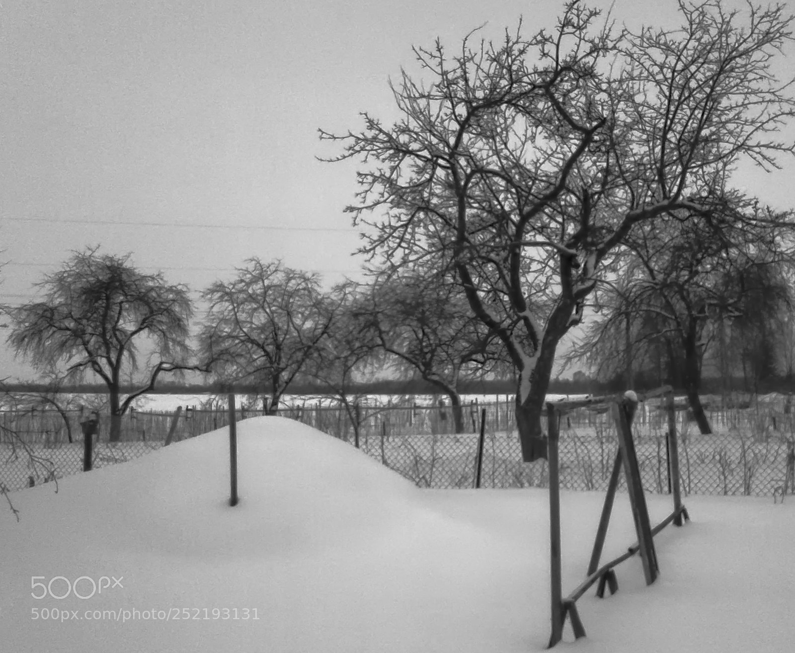 Samsung Galaxy J1 sample photo. Garden in snow photography