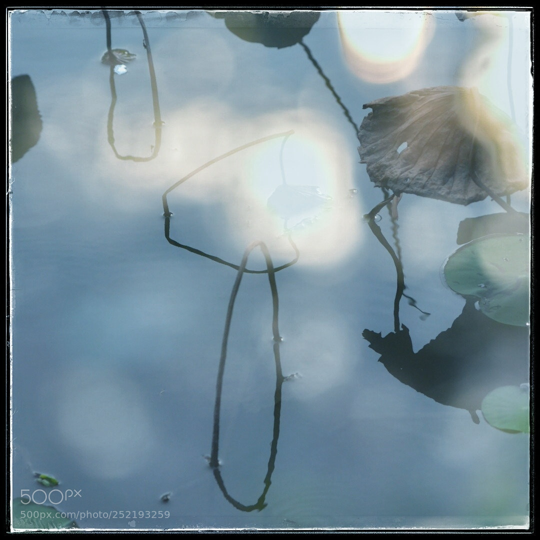 Nikon D7000 sample photo. Untitled photography