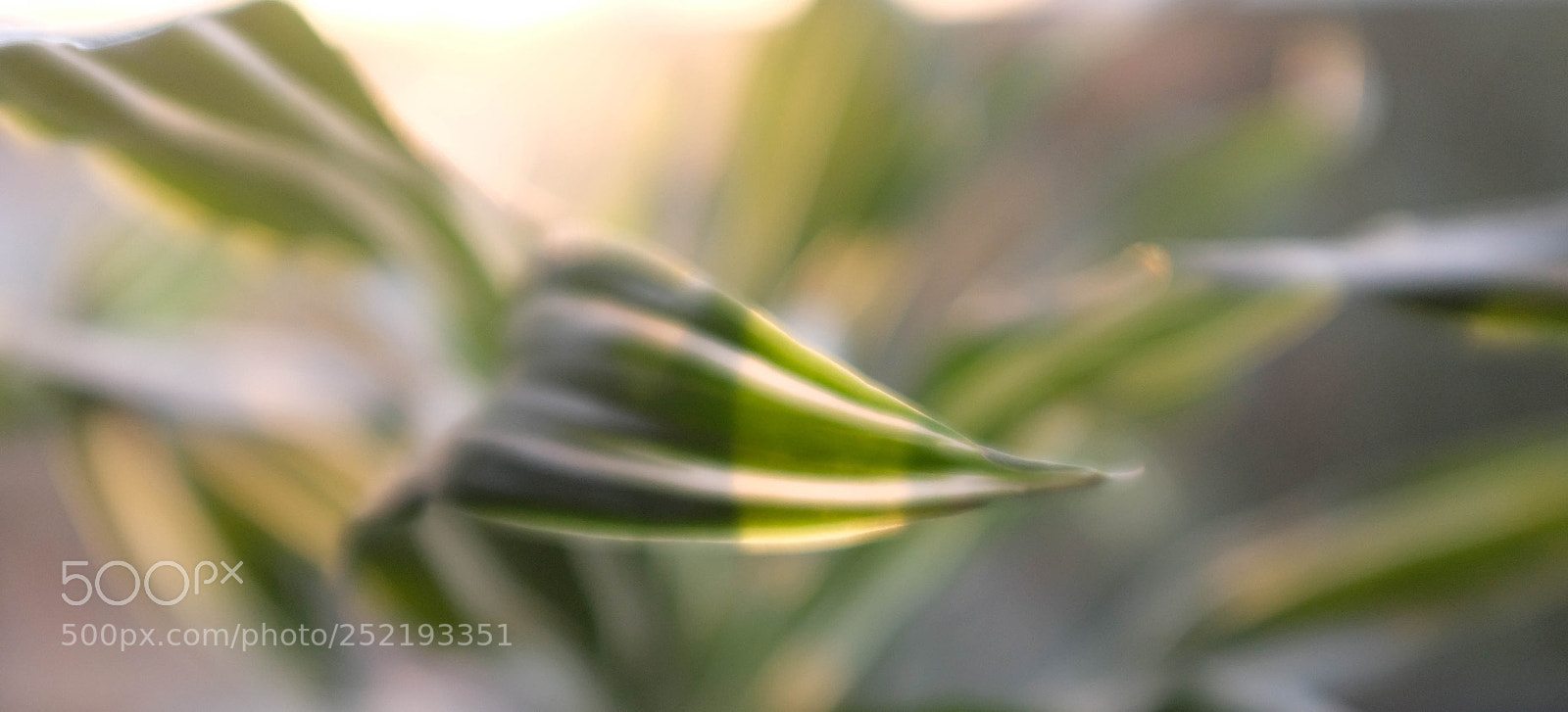 Fujifilm X100F sample photo. The light photography