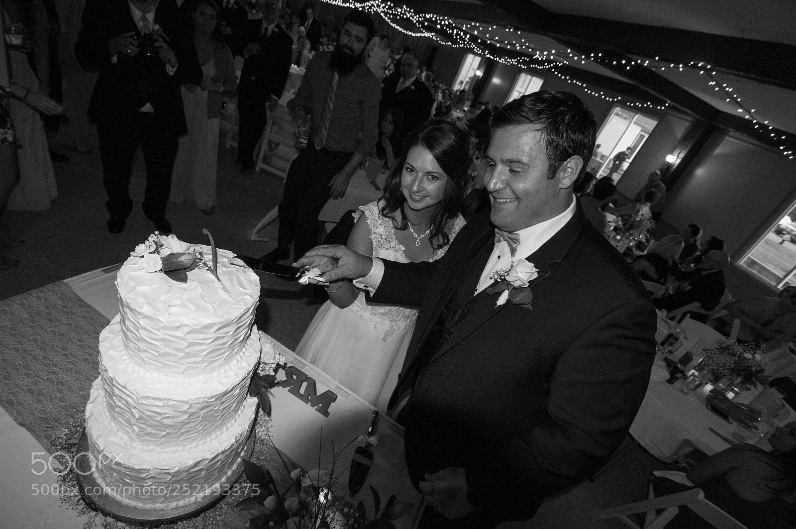 Nikon D5000 sample photo. Untitled photography