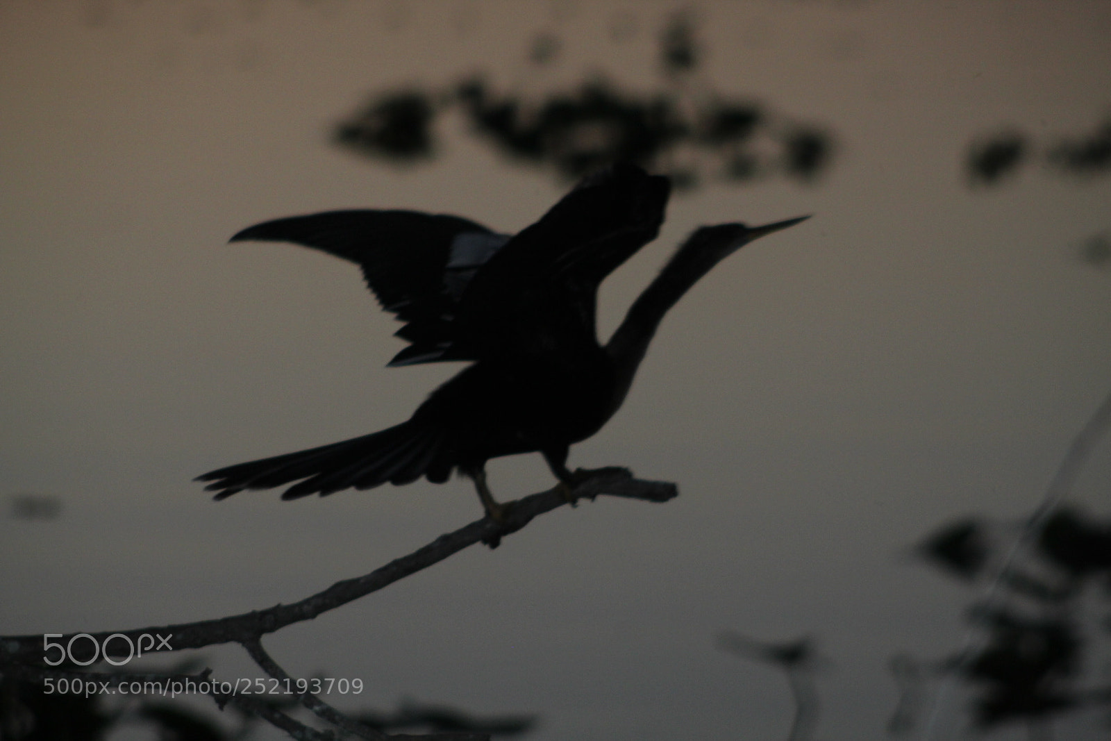 Canon EF 75-300mm f/4-5.6 sample photo. Night fall photography