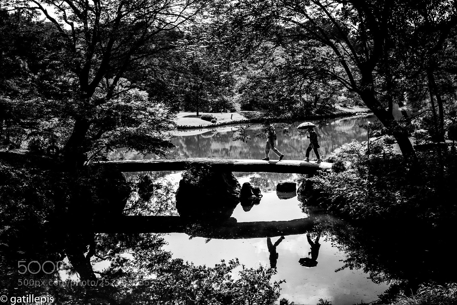 Fujifilm X-T1 sample photo. Rykugien photography