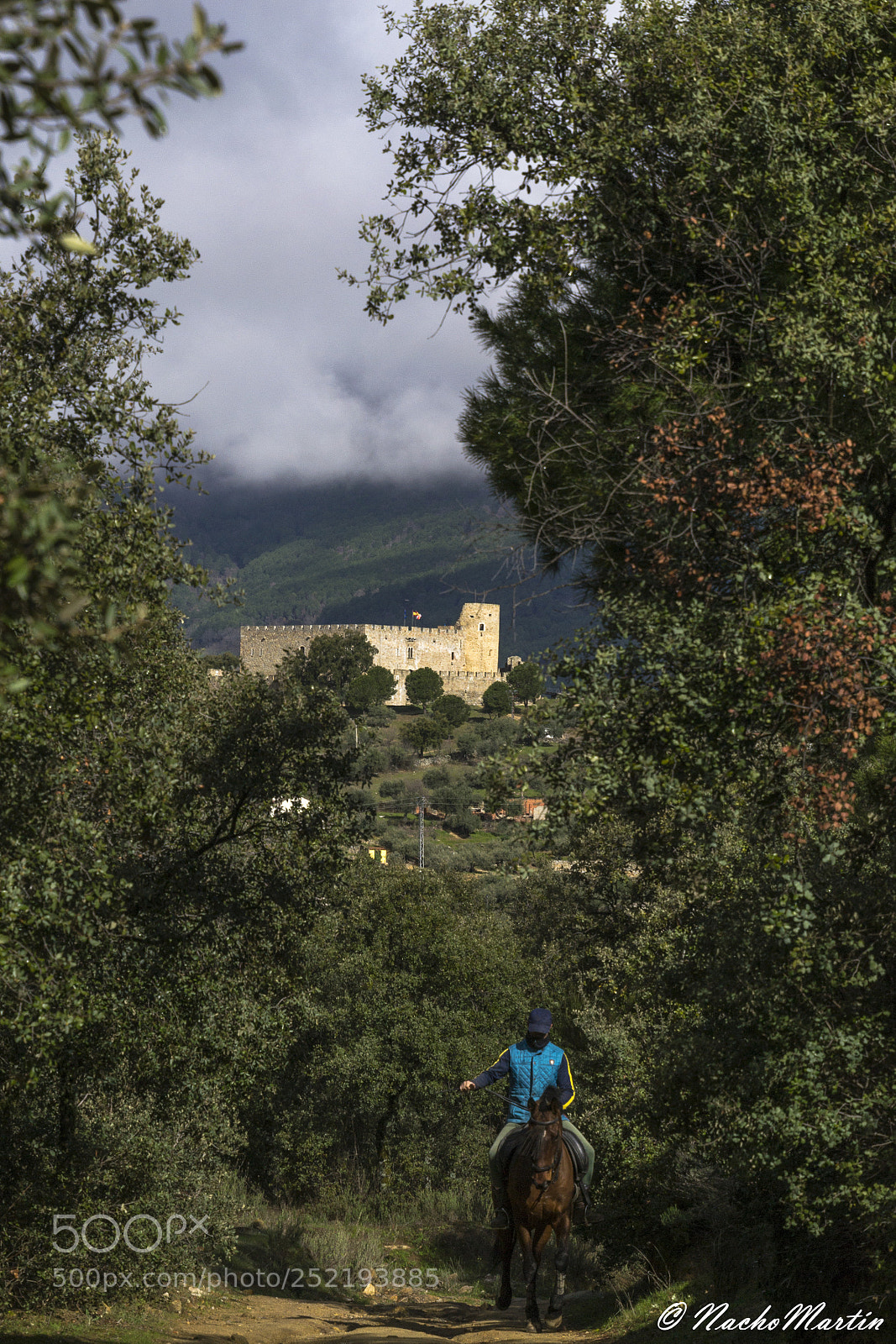 Nikon D3100 sample photo. Castillo de la adrada photography