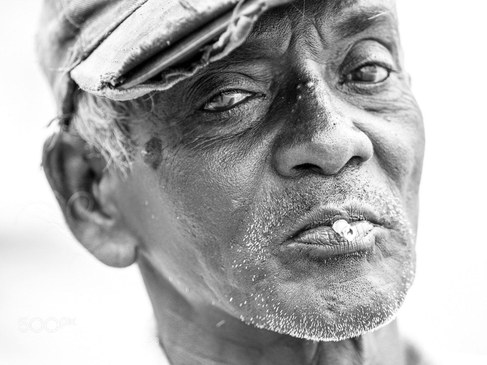 Olympus OM-D E-M1 Mark II sample photo. Beedi photography
