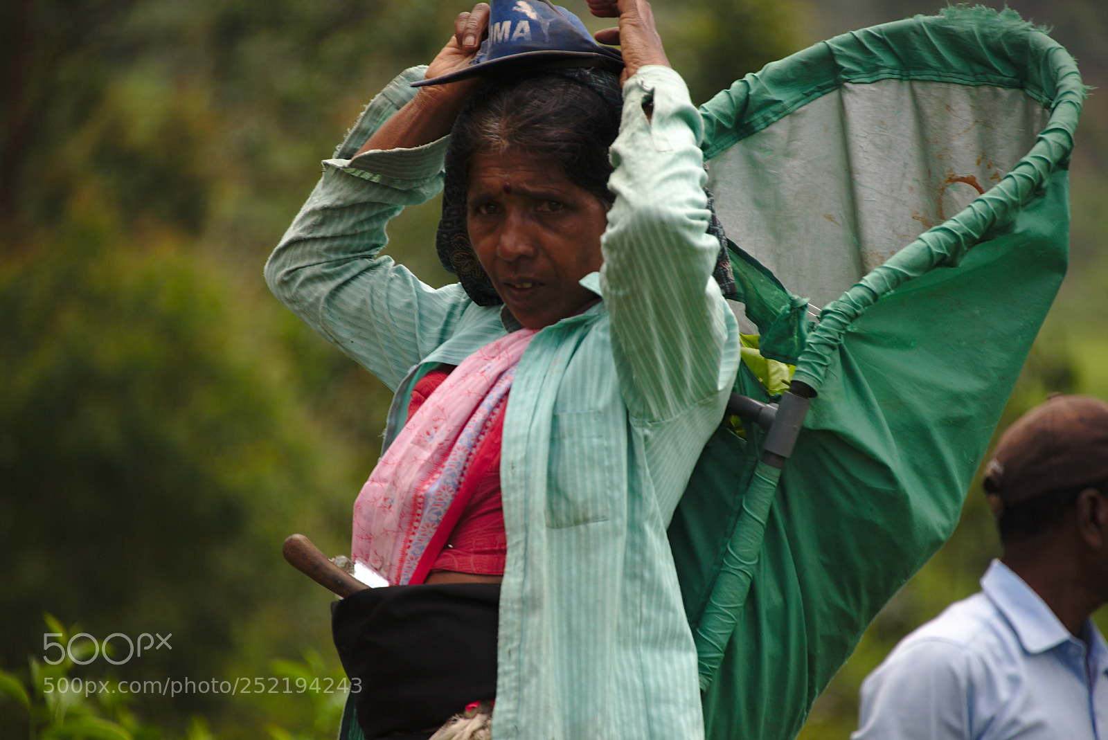 Nikon D610 sample photo. Sri lanka lipton seat 2018 photography