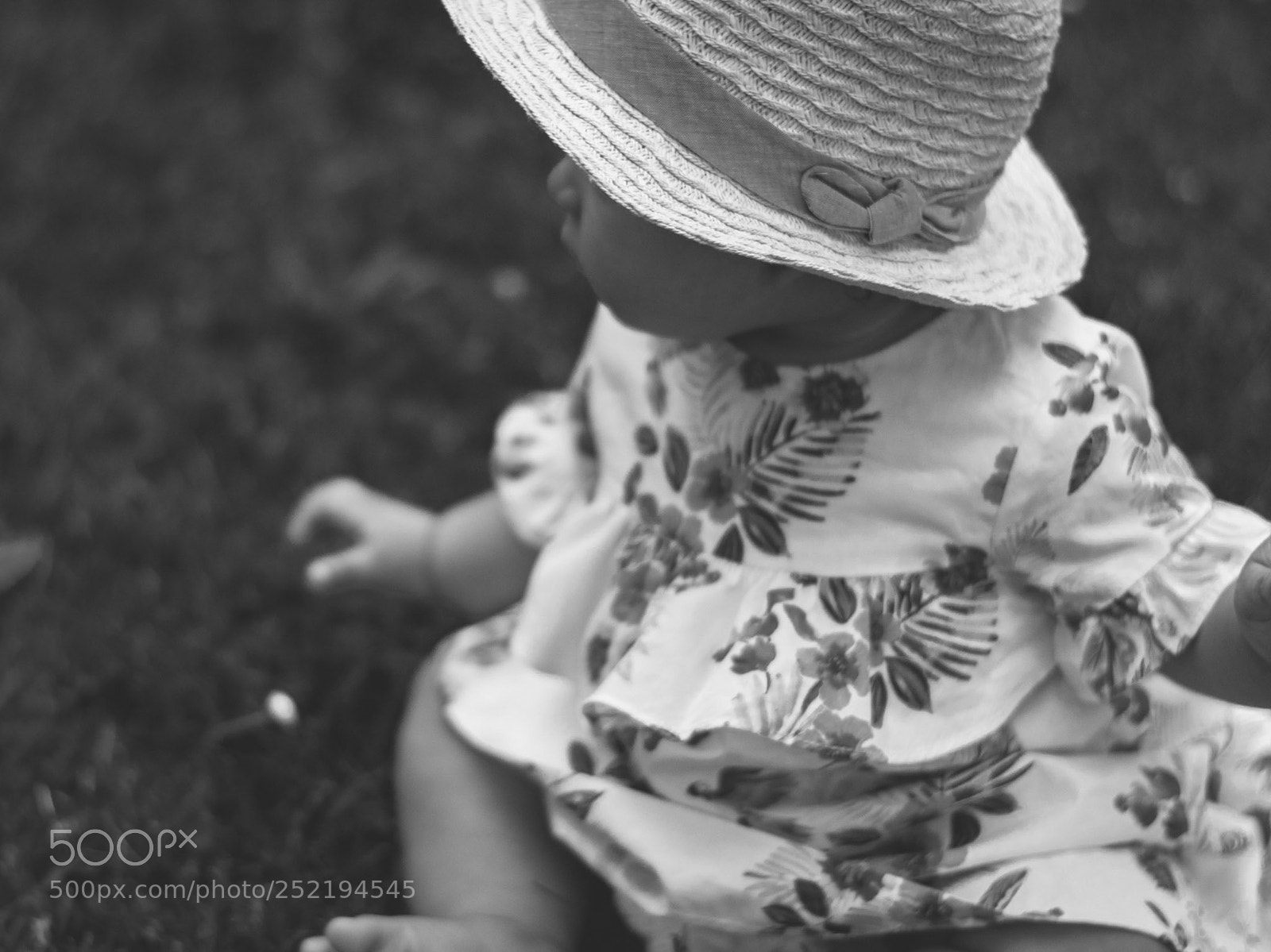 Nikon D3300 sample photo. Eleven months ago... photography