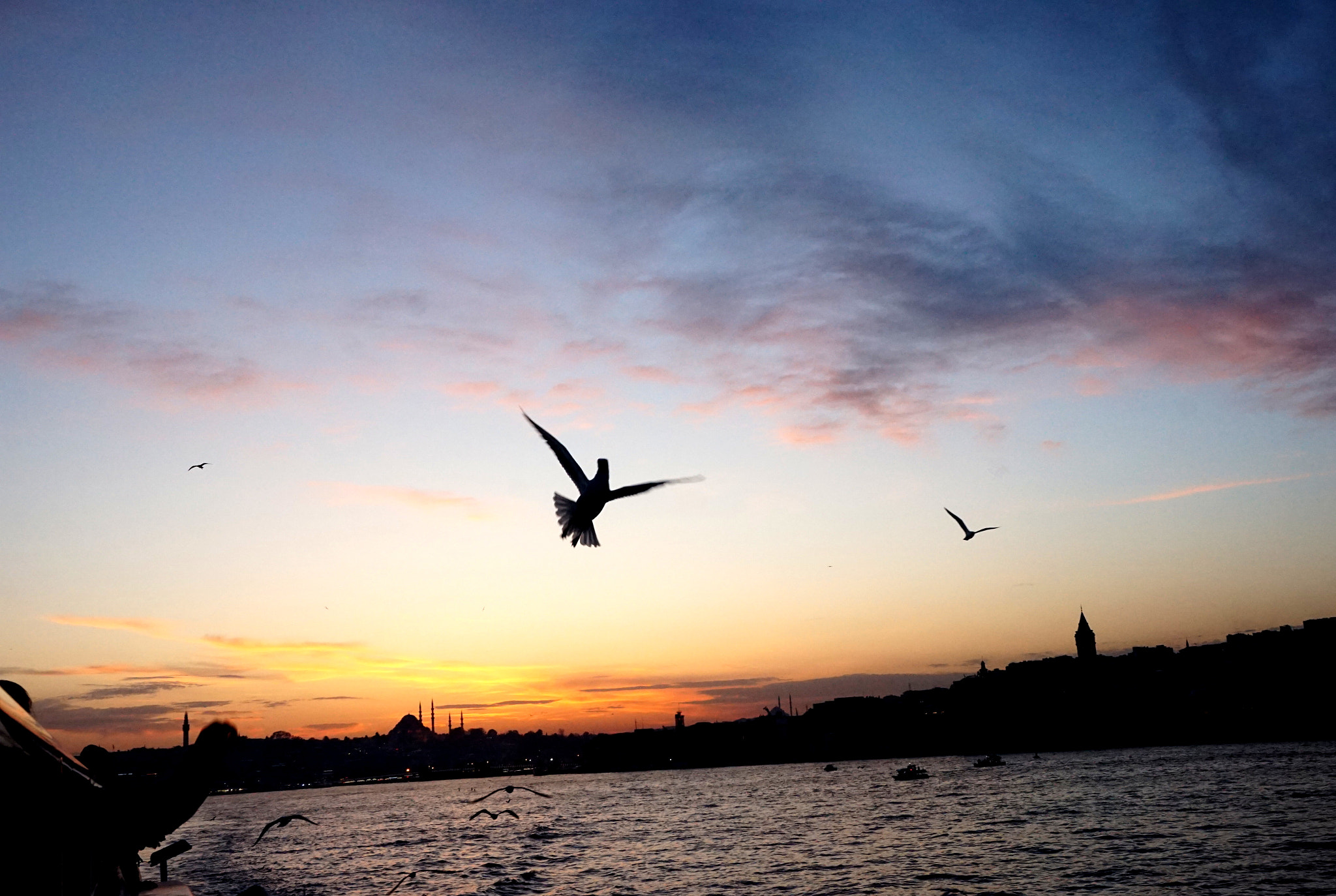 Sony Alpha a5000 (ILCE 5000) + Sony E 18-50mm F4-5.6 sample photo. Bird silhouette! photography